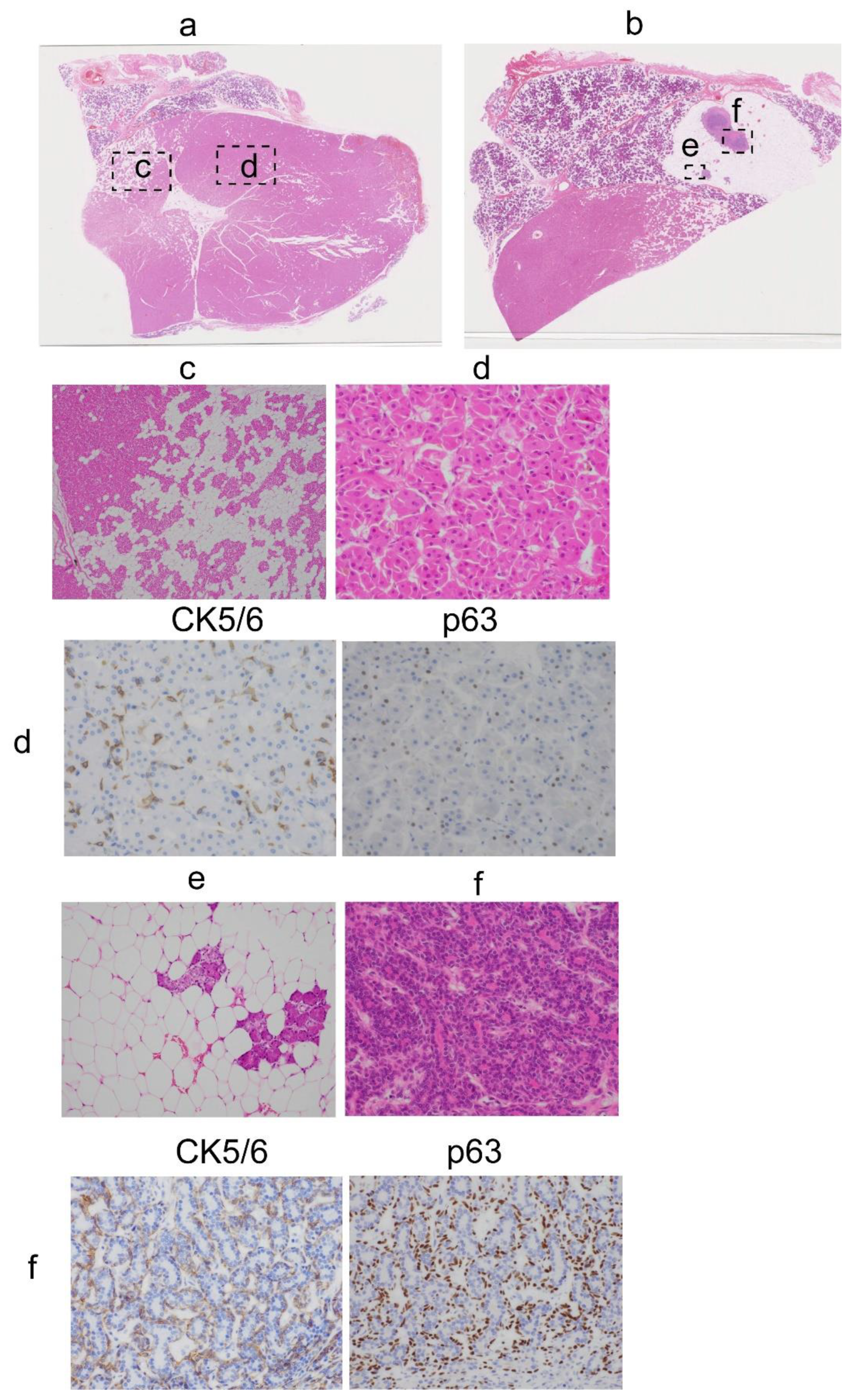 Diagnostics 11 01478 g002