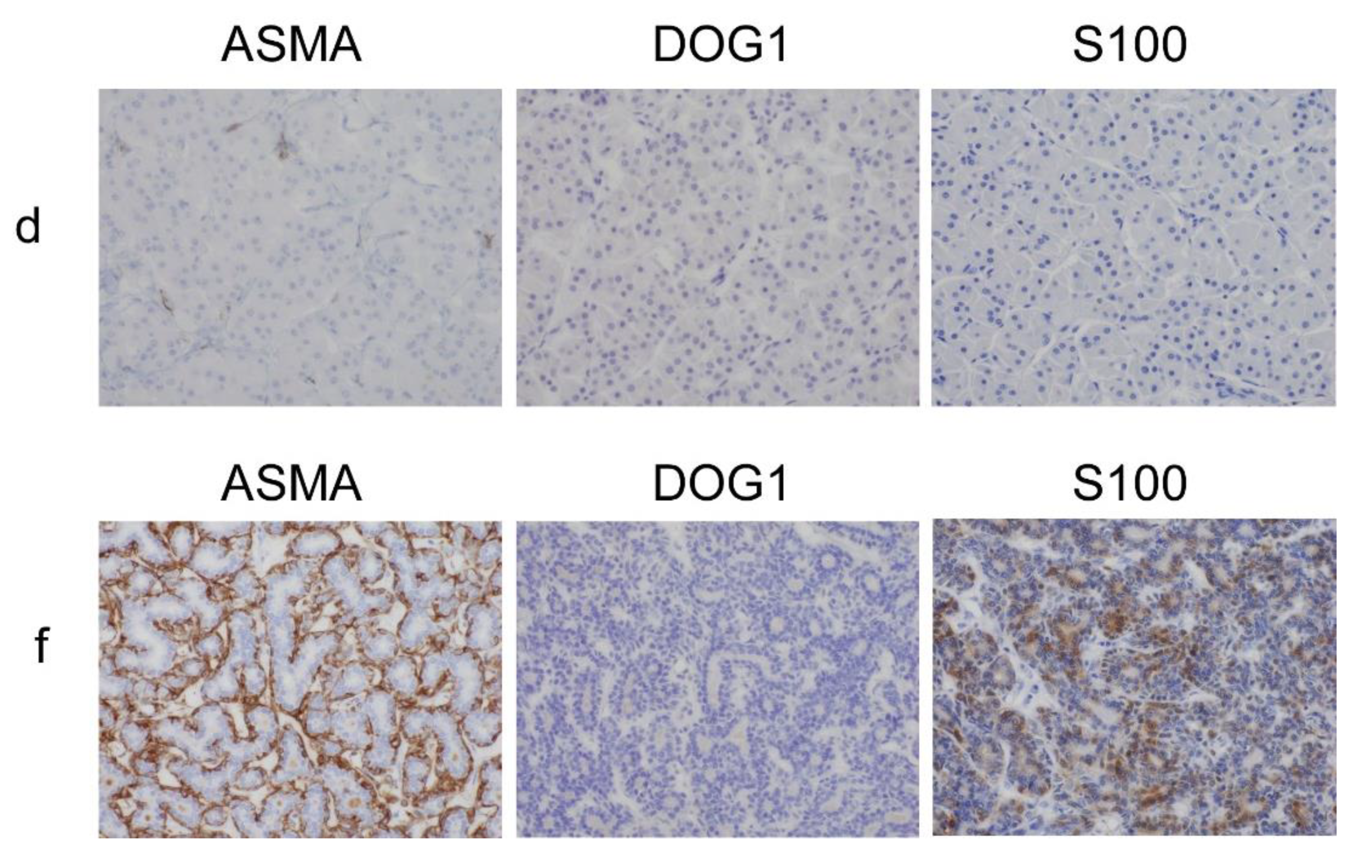 Diagnostics 11 01478 g003