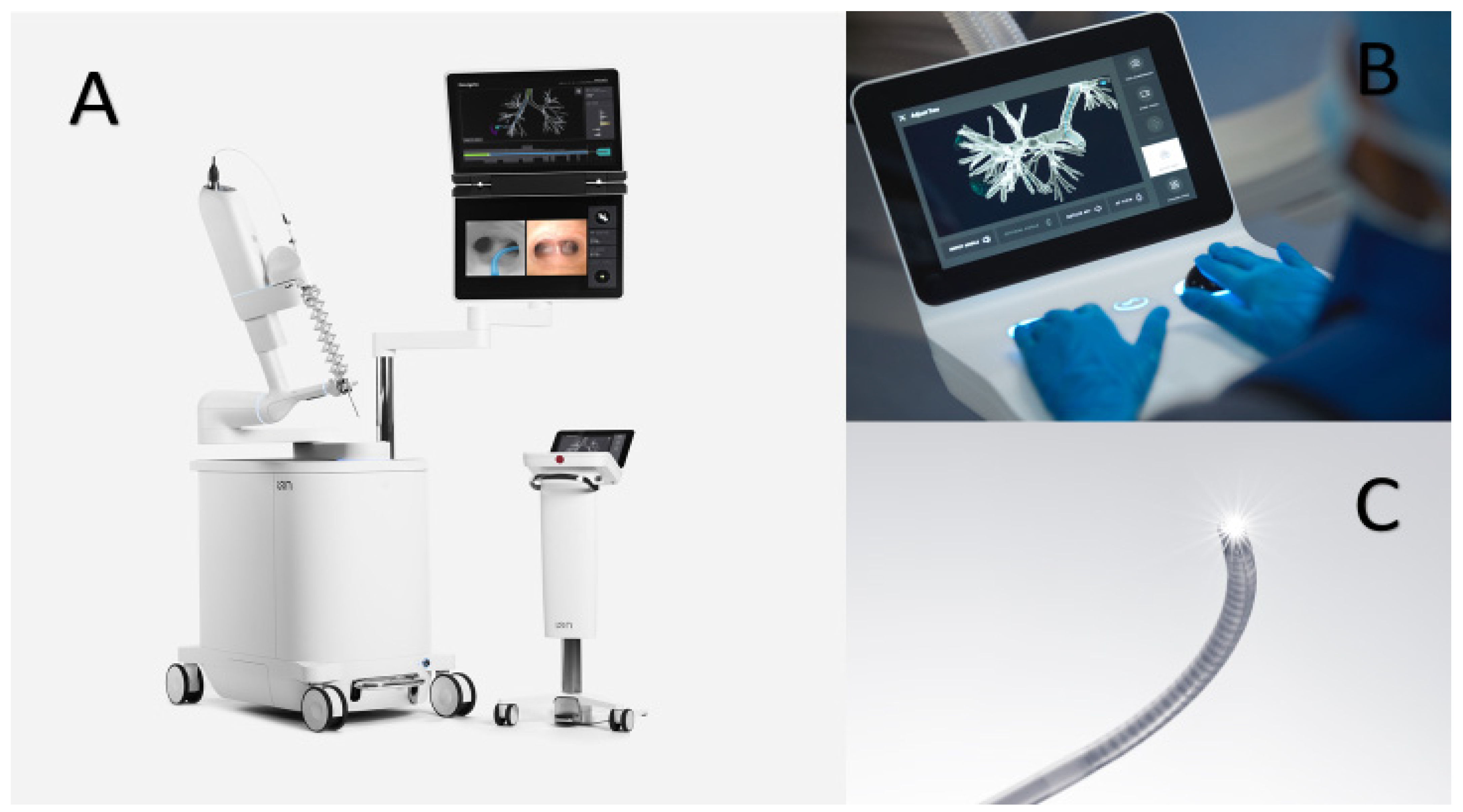 Diagnostics 11 01479 g002 550