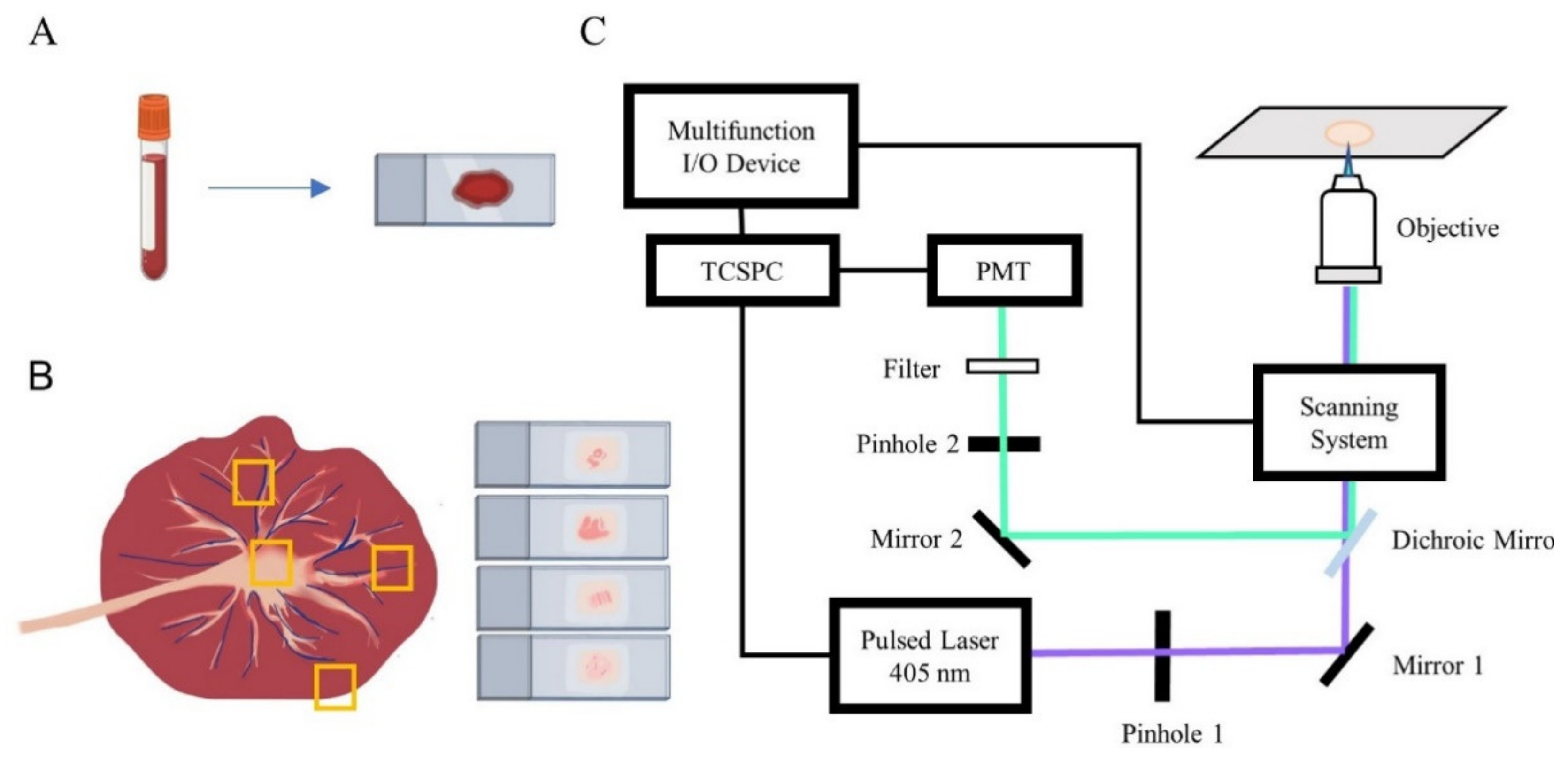 Diagnostics 11 01494 g001 550