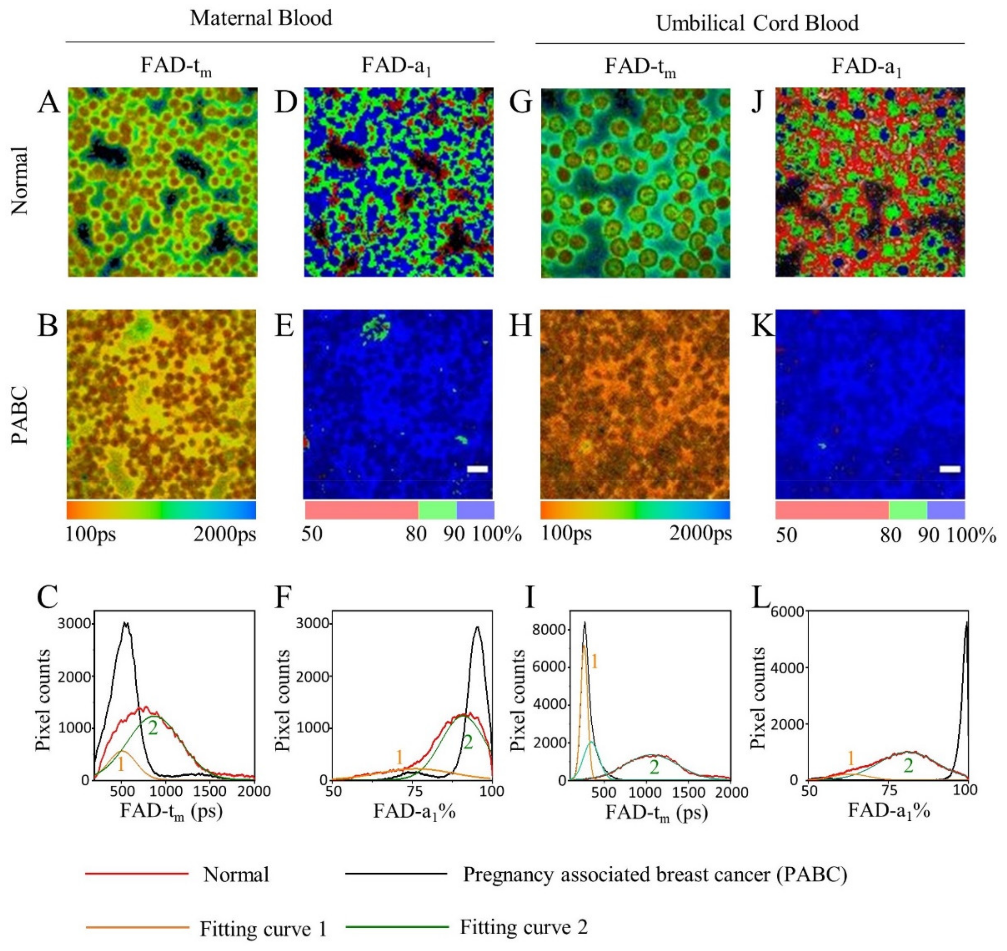 Diagnostics 11 01494 g004 550