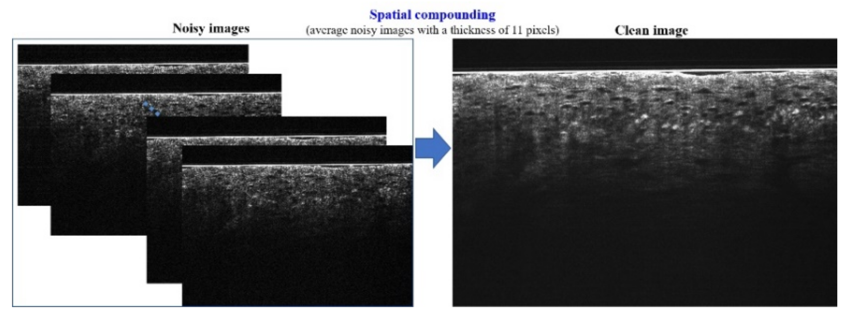 Diagnostics 11 01498 g003 550