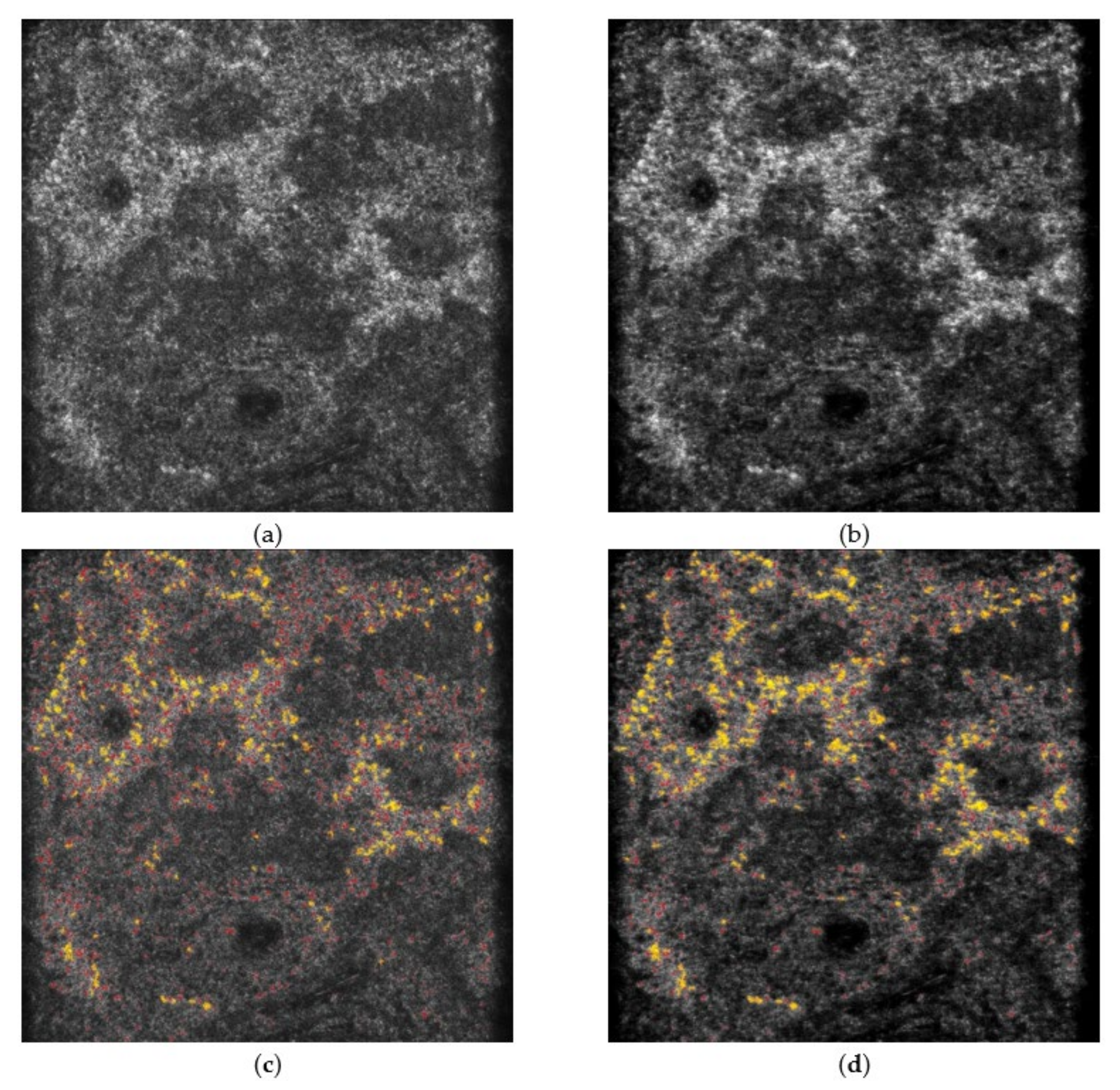 Diagnostics 11 01498 g006 550