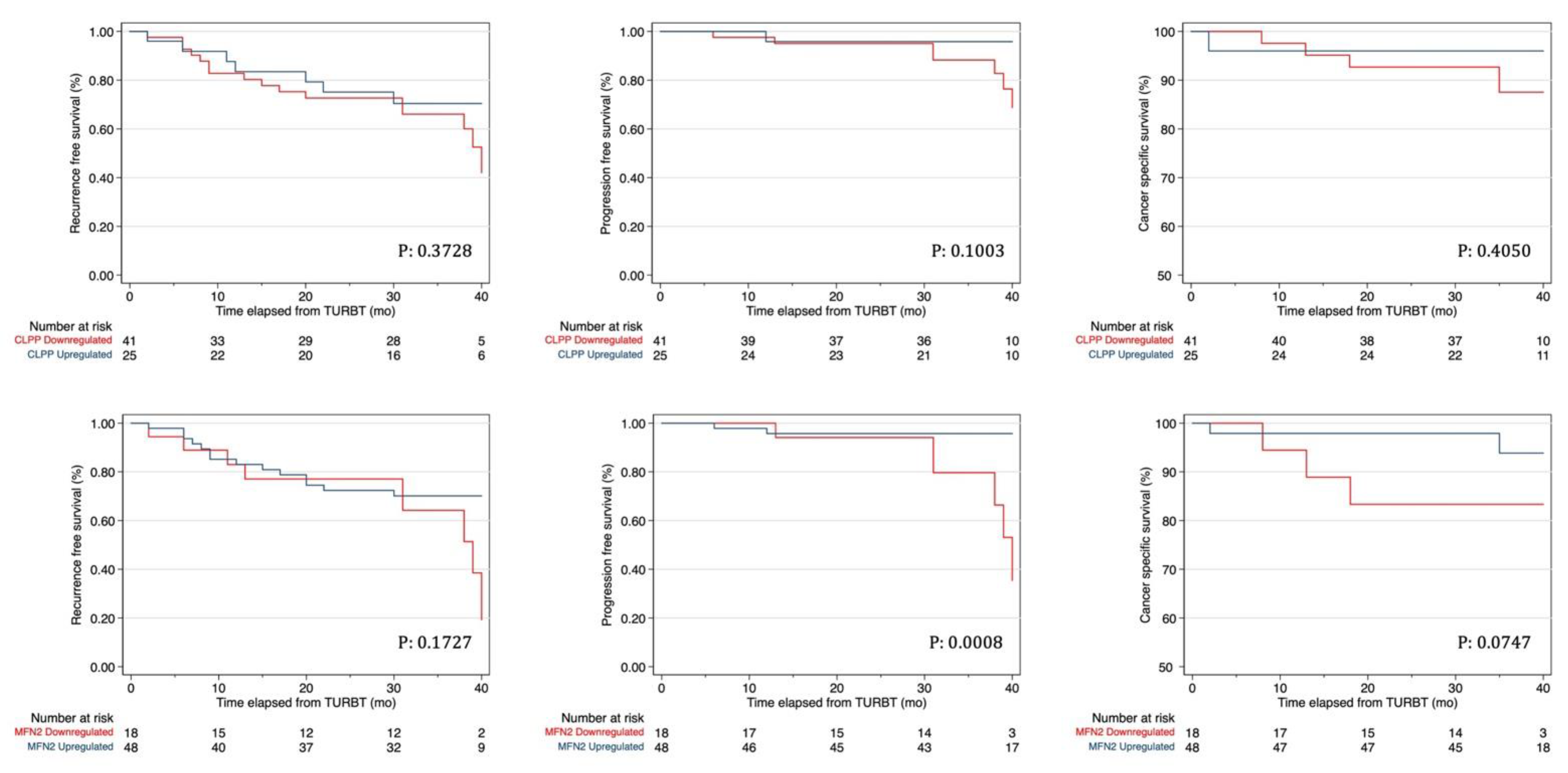 Diagnostics 11 01500 g002