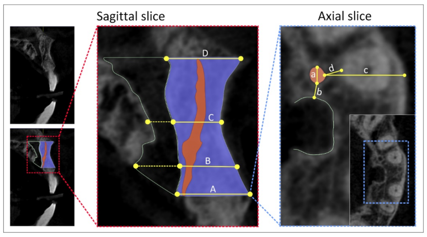 Diagnostics 11 01510 g001