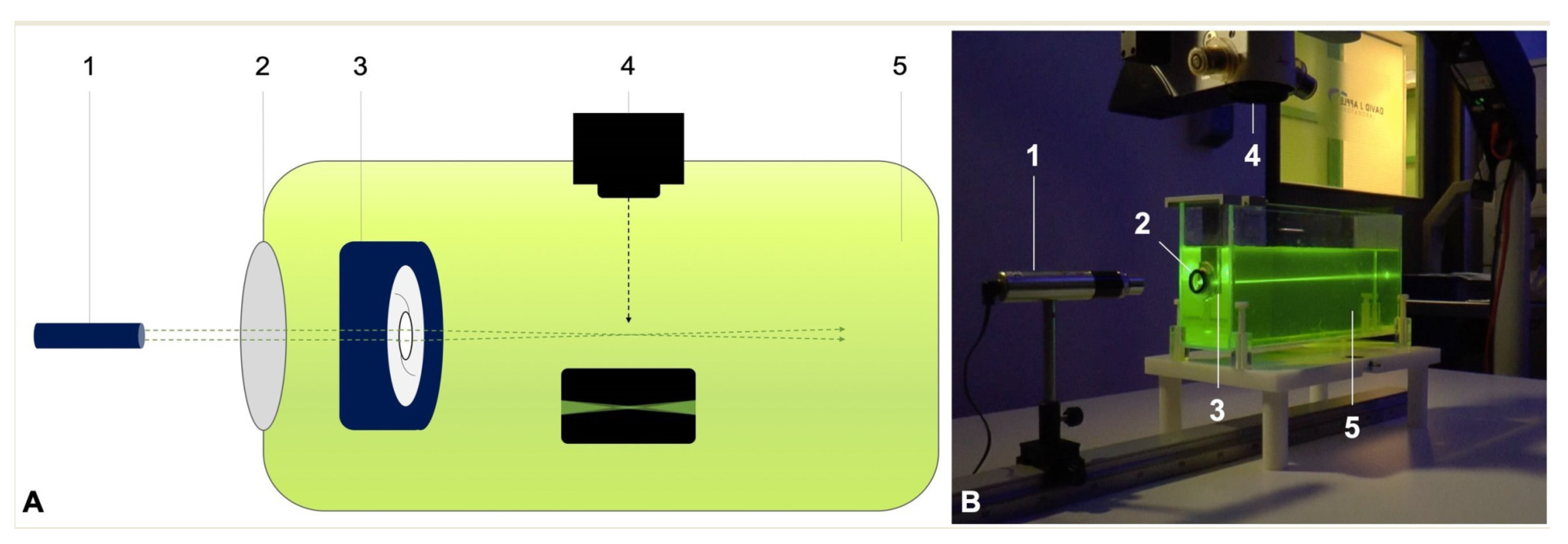 Diagnostics 11 01512 g001 Diagnostics 11 01512 g001