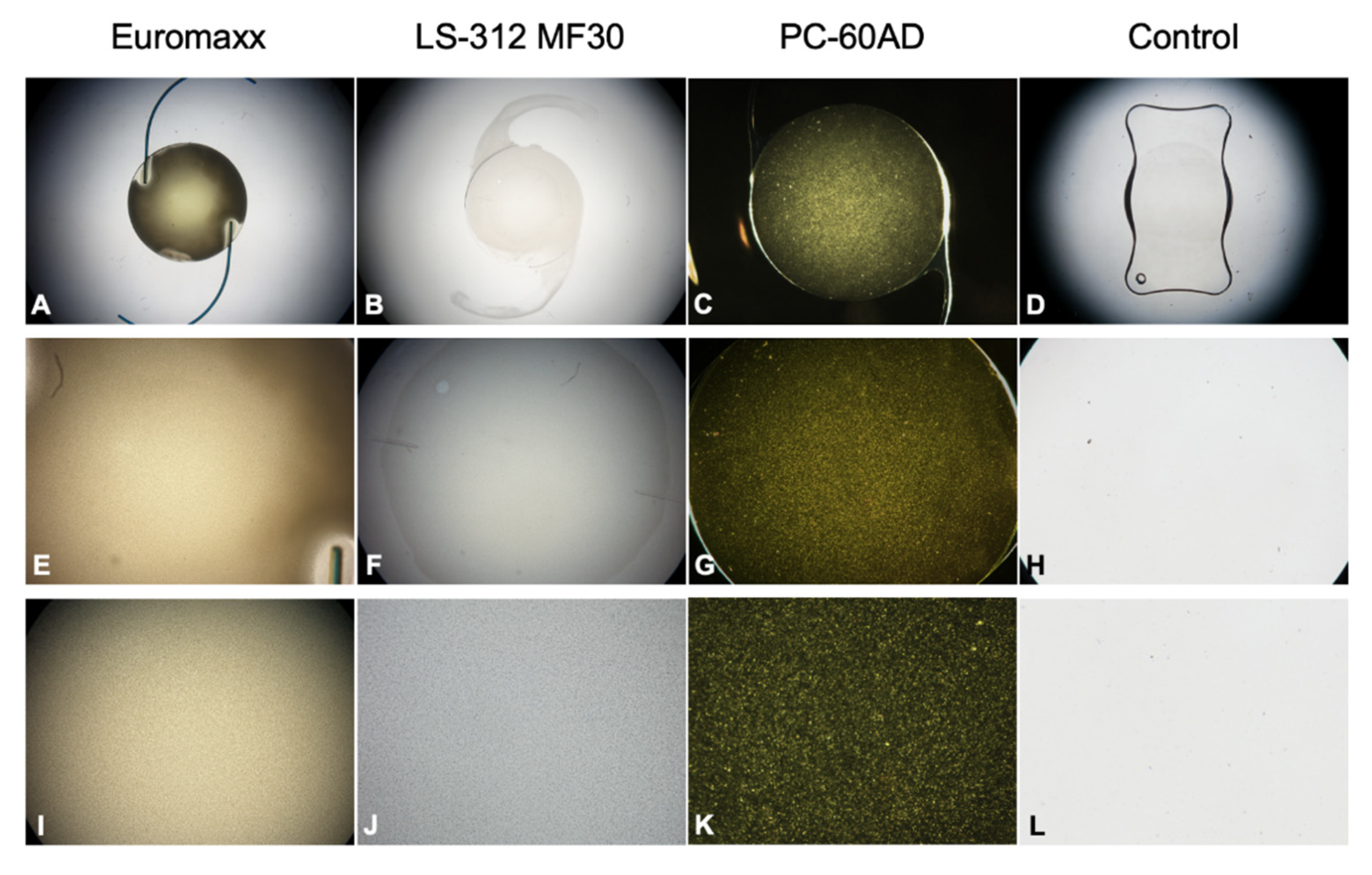 Diagnostics 11 01512 g002 Diagnostics 11 01512 g002