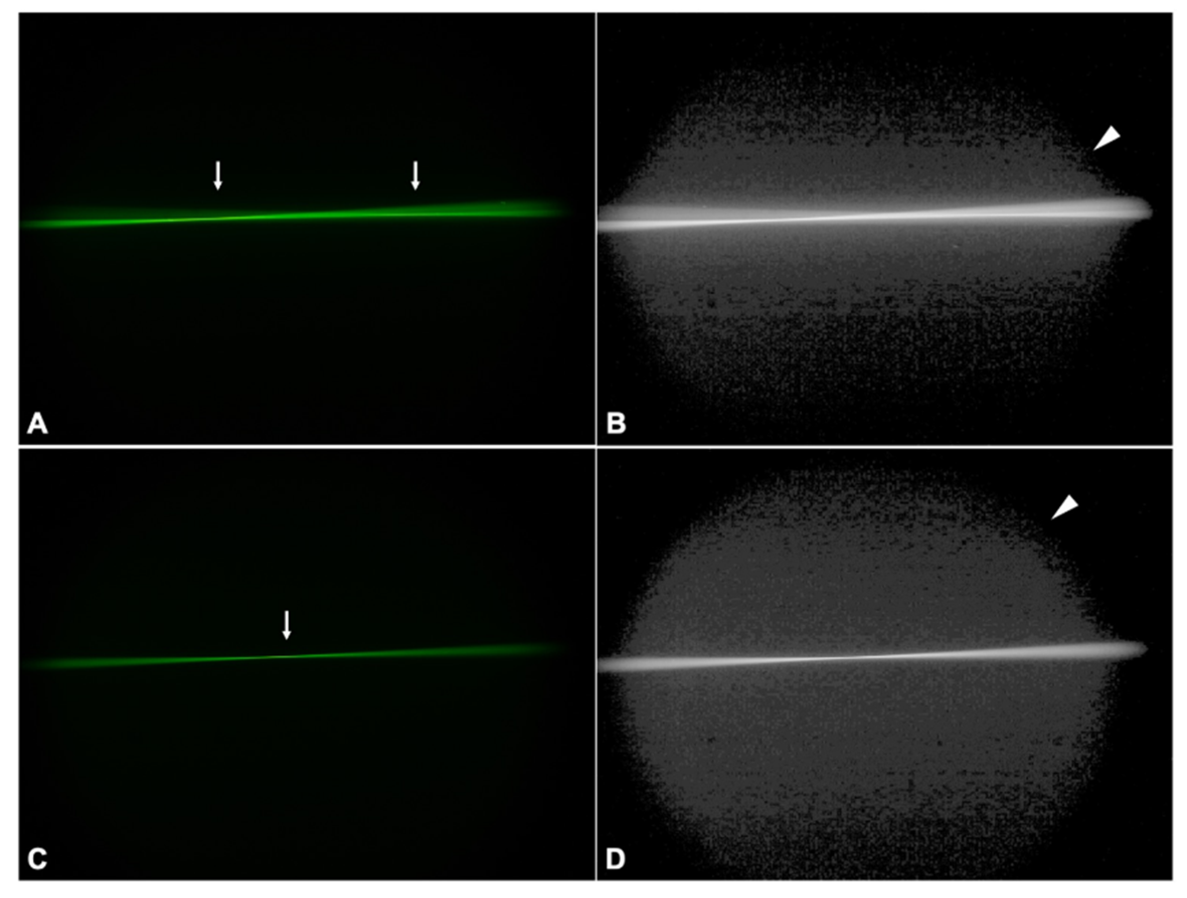 Diagnostics 11 01512 g005 Diagnostics 11 01512 g005