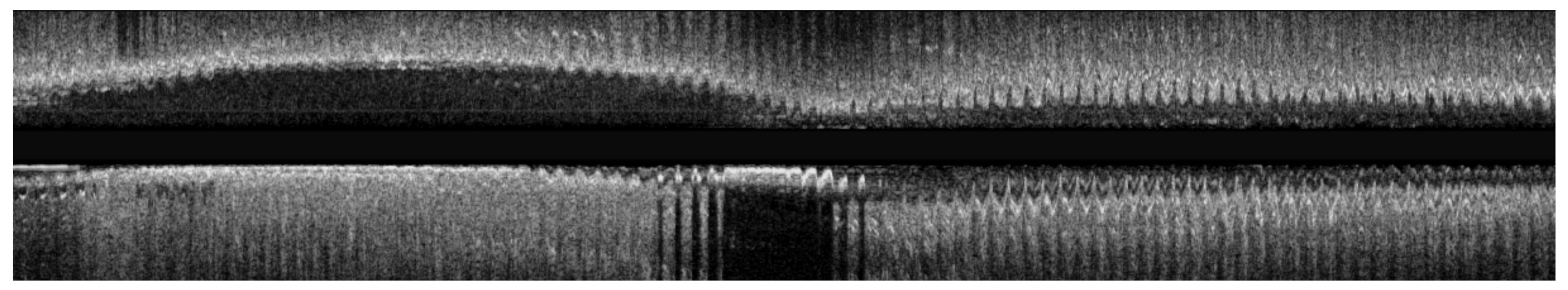 Diagnostics 11 01513 g001