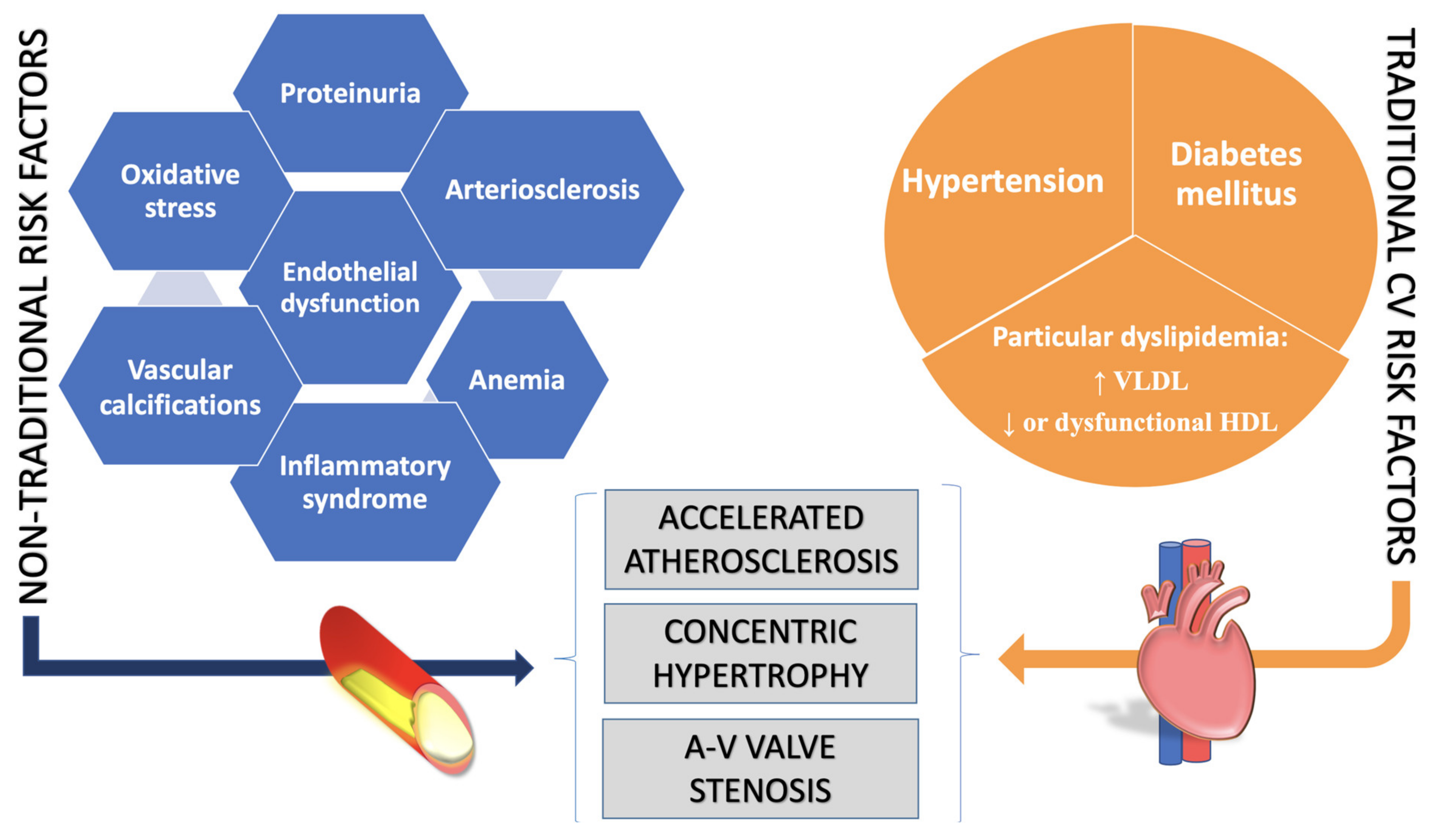 Diagnostics 11 01518 g002