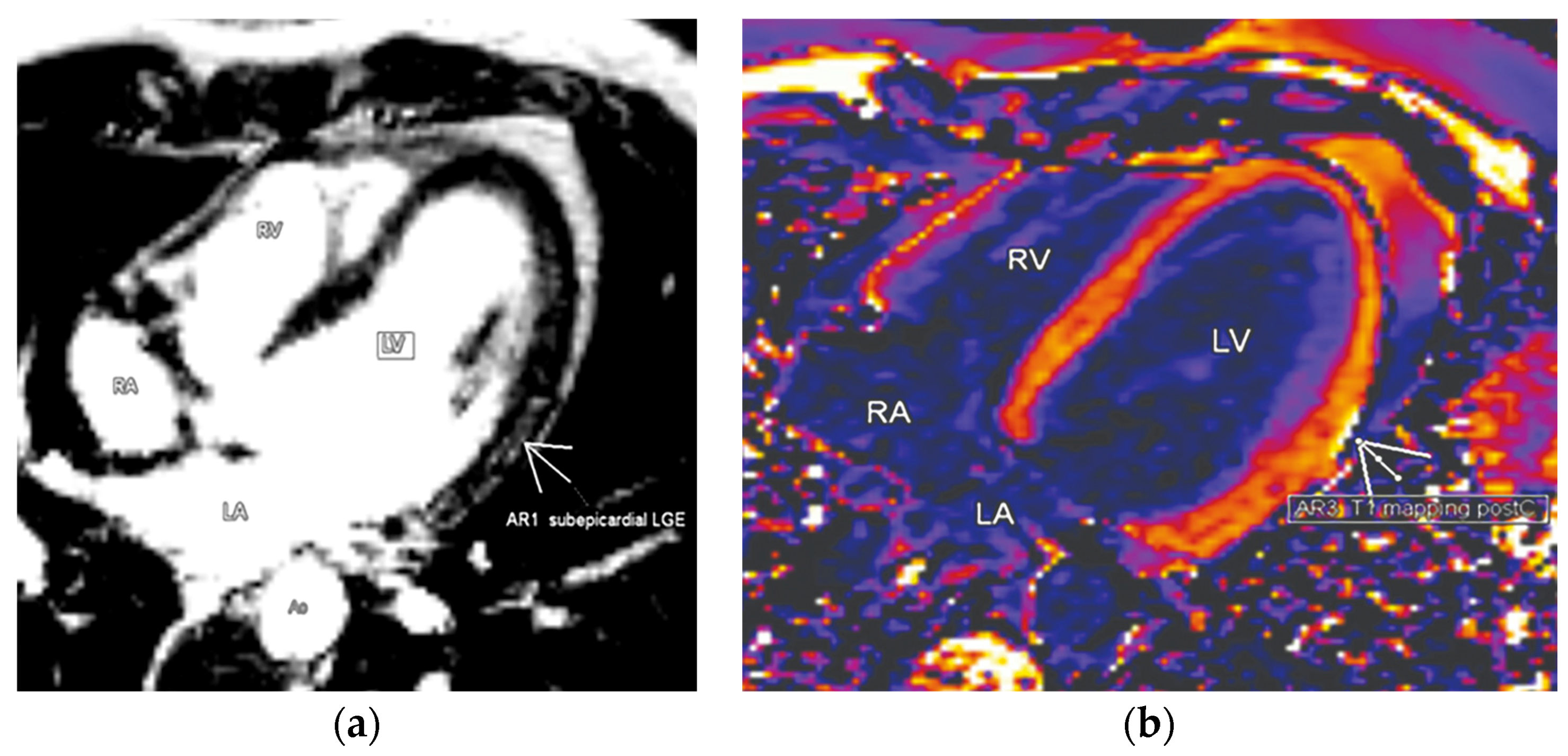 Diagnostics 11 01519 g004