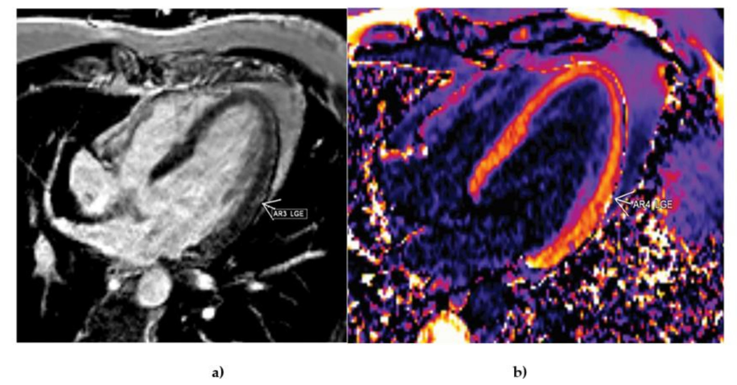 Diagnostics 11 01519 g005