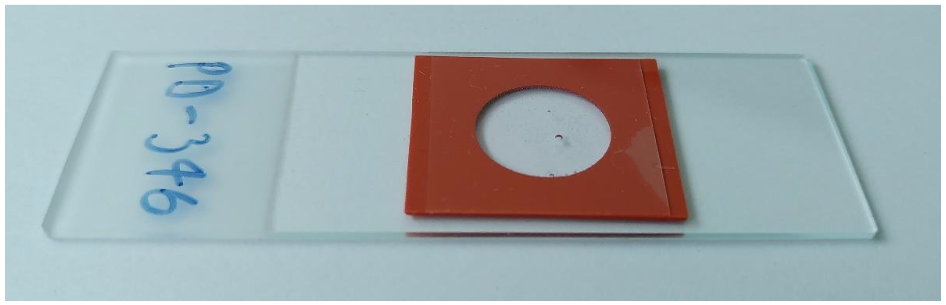 Diagnostics 11 01540 g0a2 550