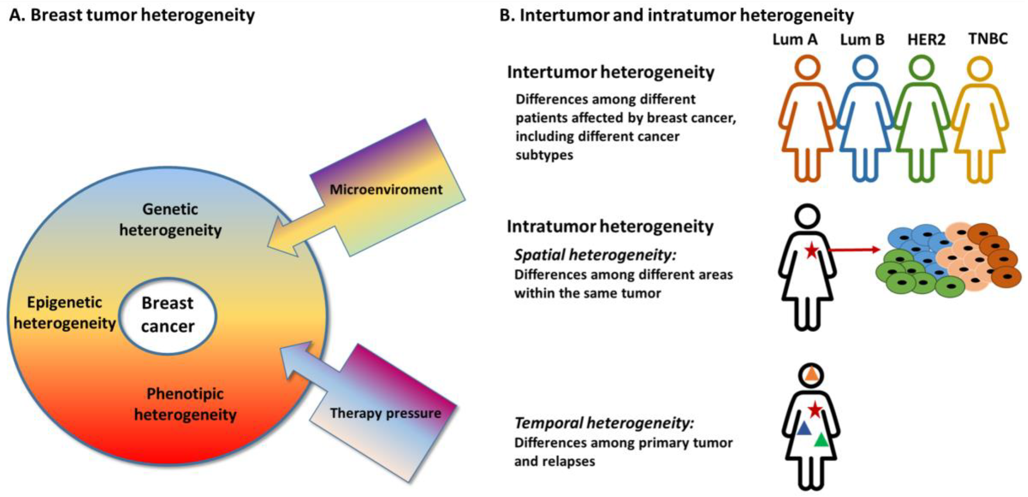 Diagnostics 11 01555 g001 550