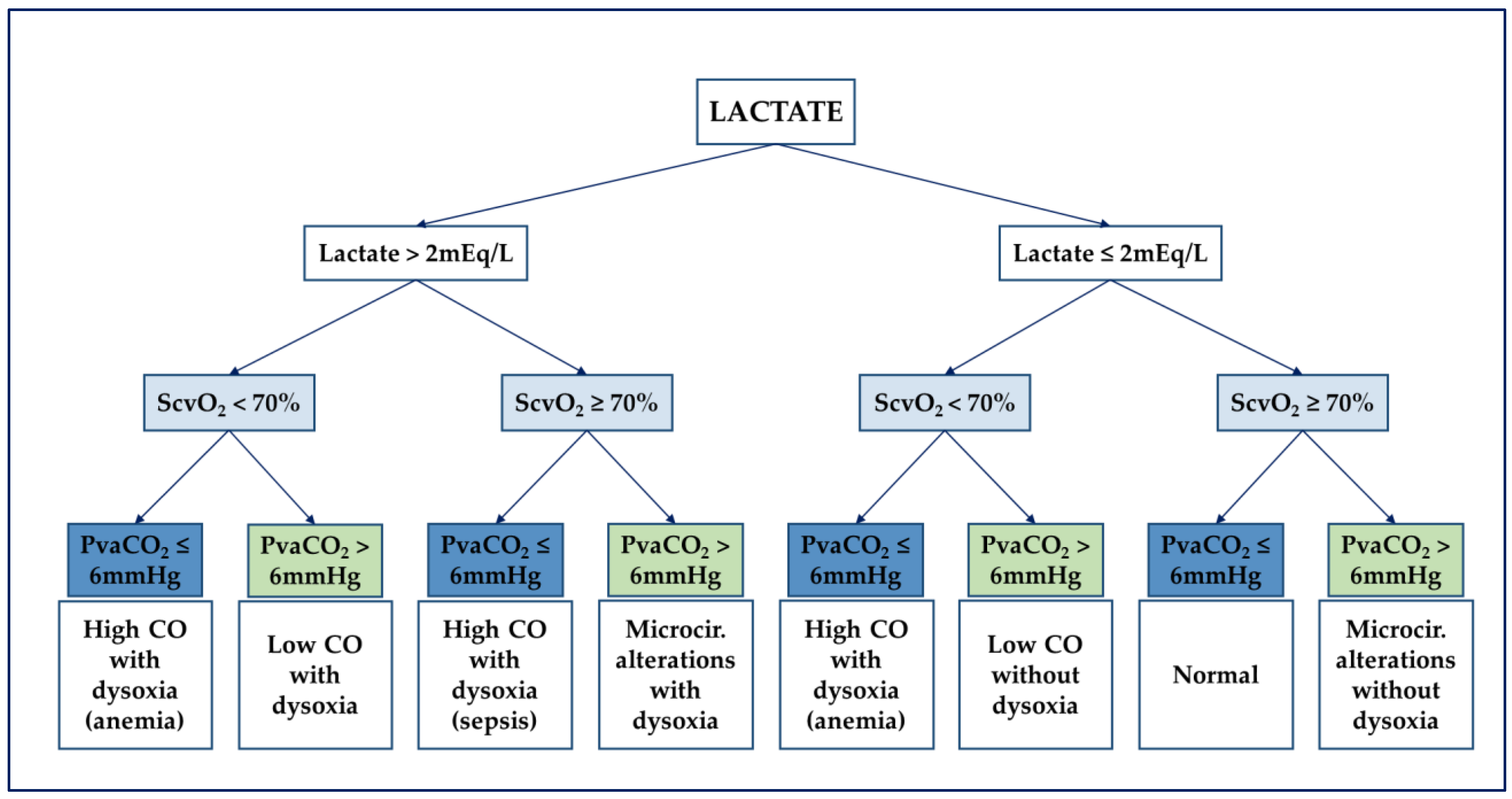 Diagnostics 11 01559 g002 Diagnostics 11 01559 g002