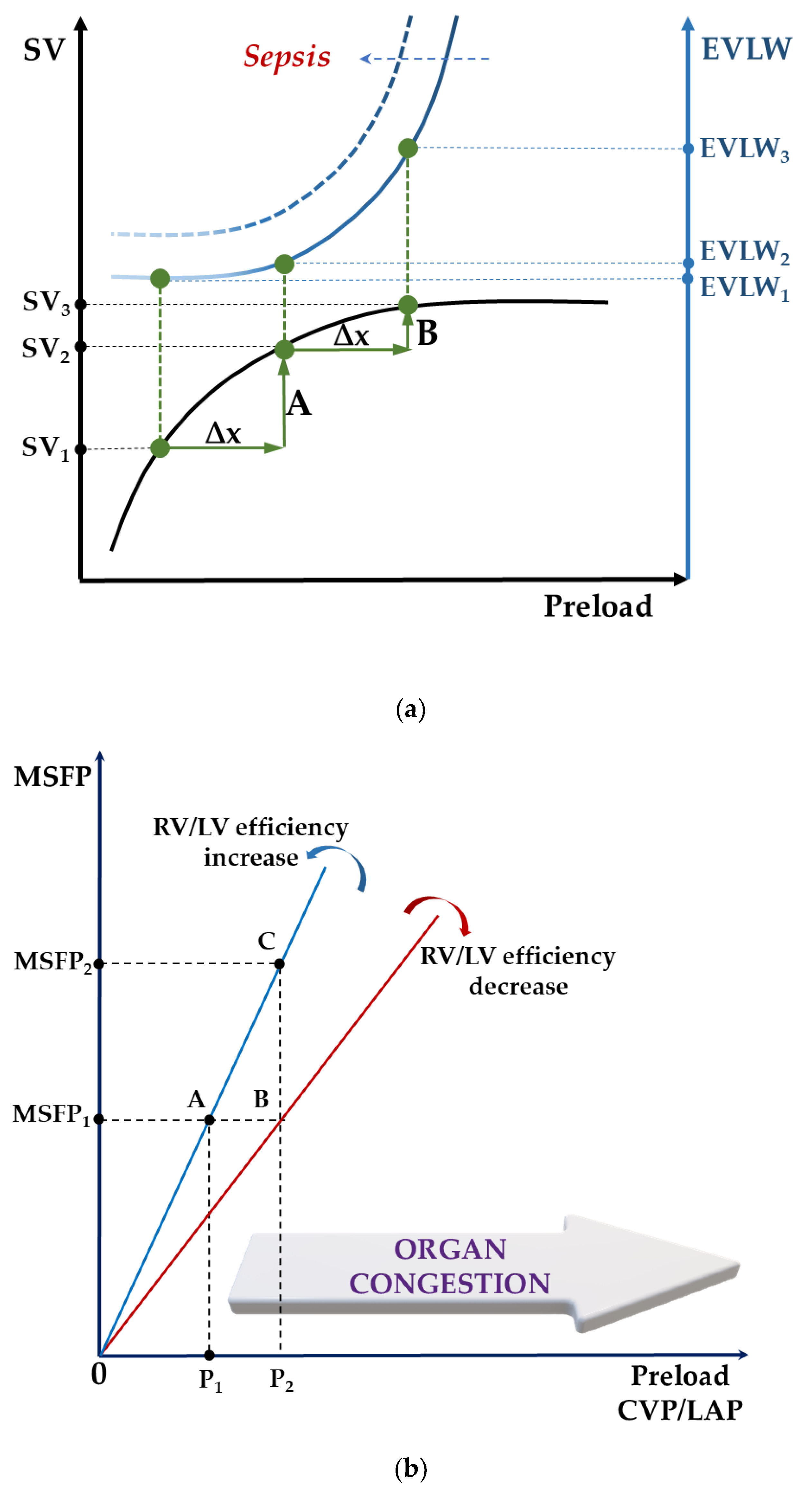 Diagnostics 11 01559 g003 Diagnostics 11 01559 g003