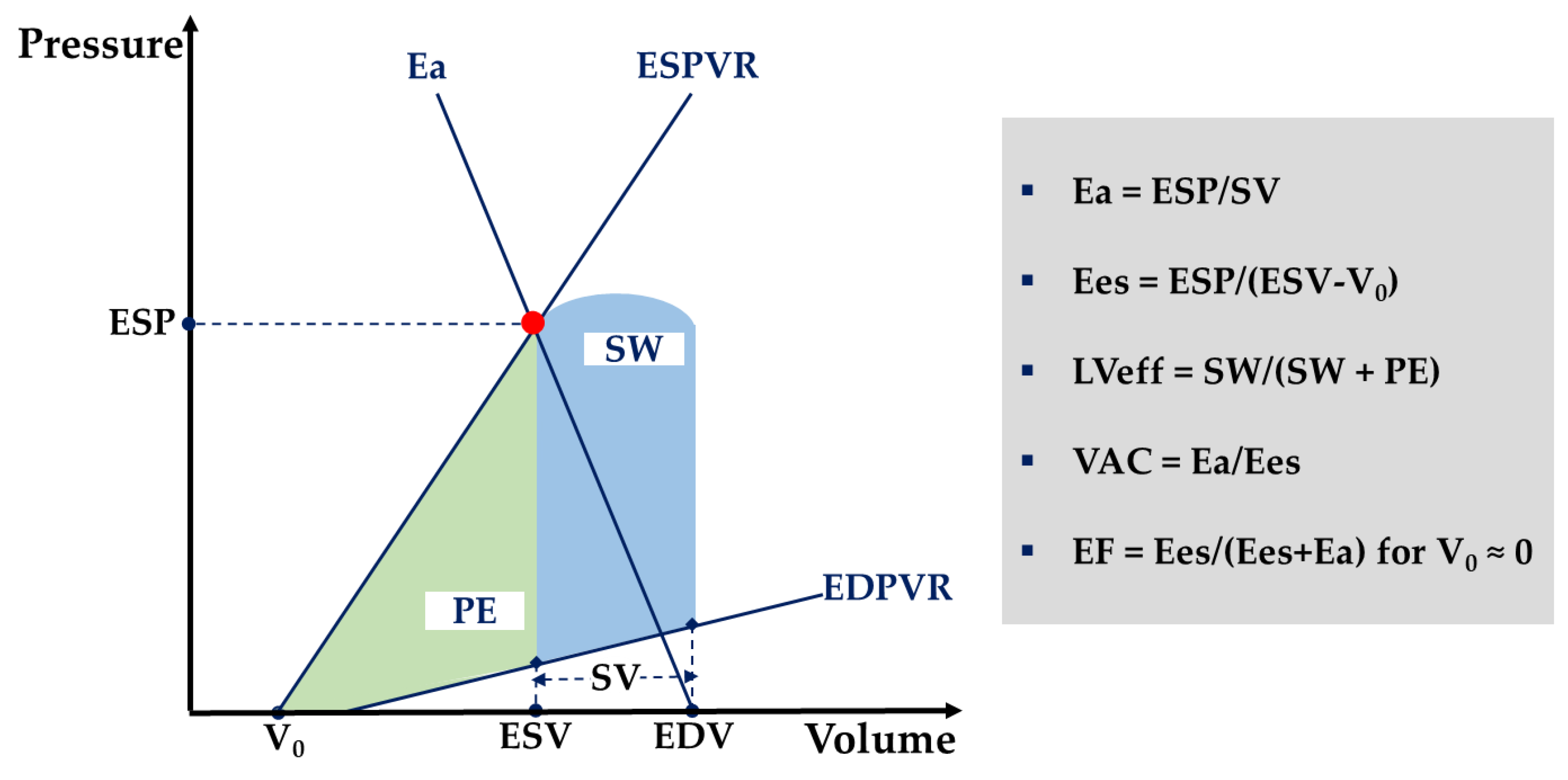 Diagnostics 11 01559 g004 Diagnostics 11 01559 g004