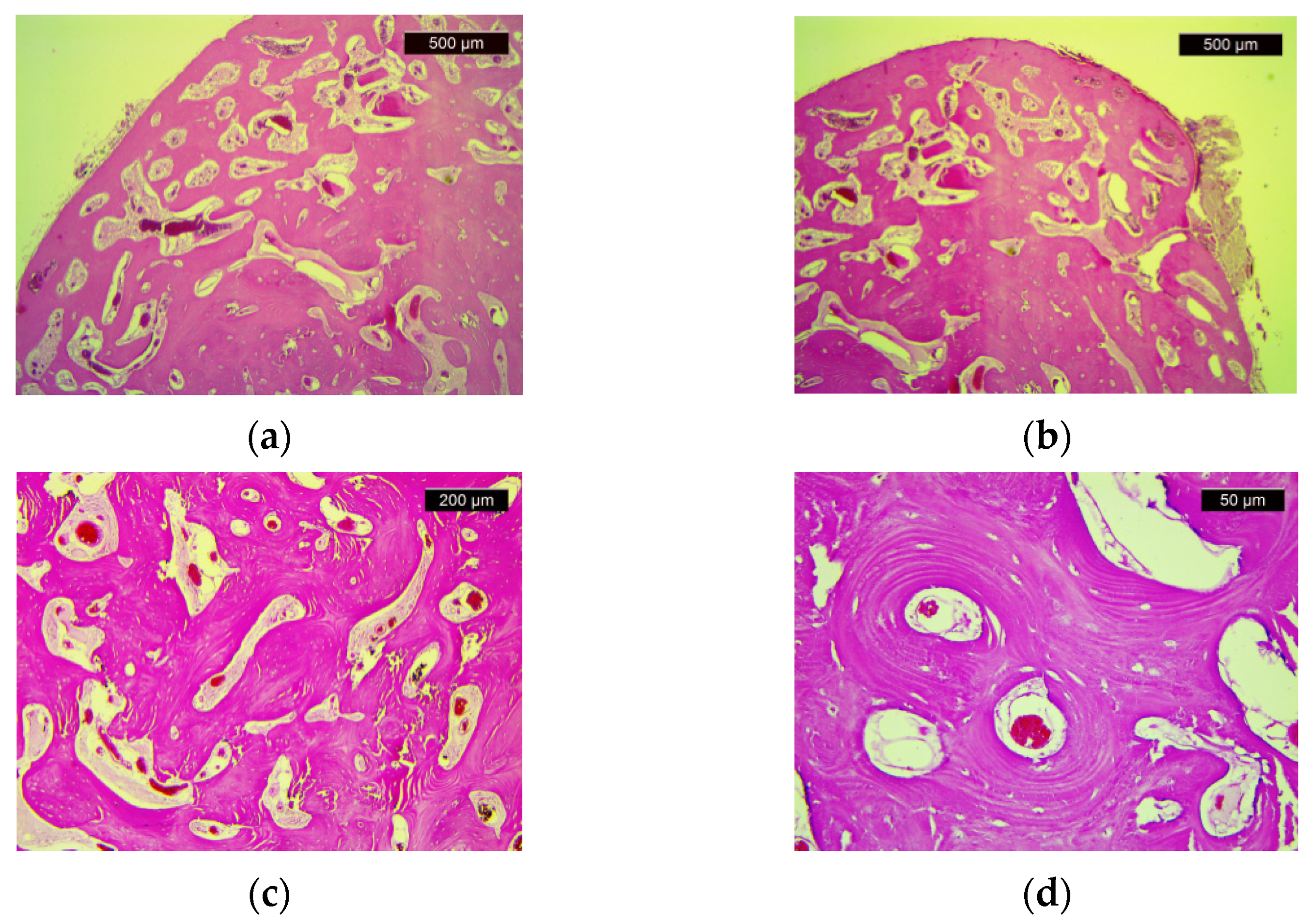 Diagnostics 11 01560 g004 Diagnostics 11 01560 g004