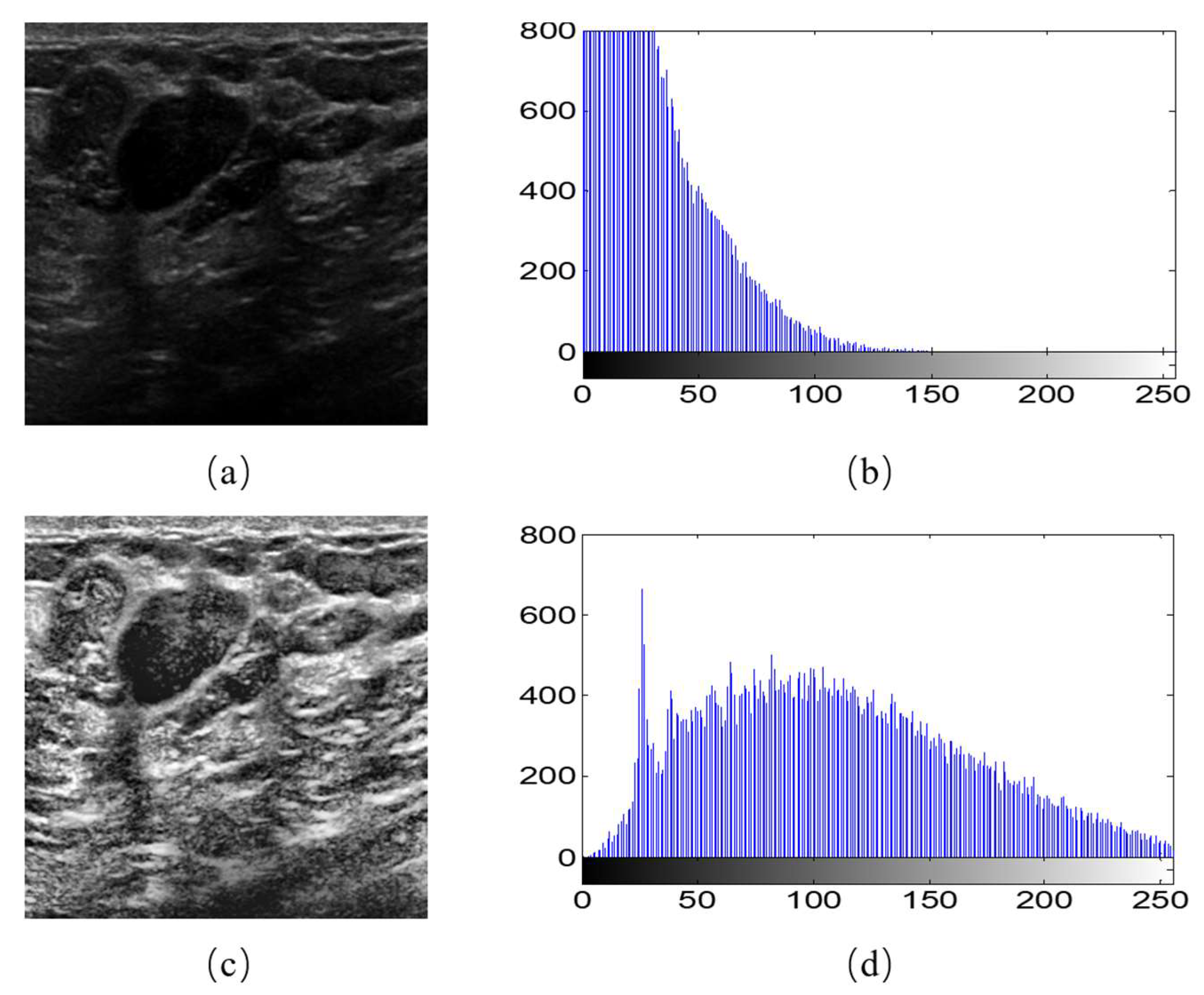 Diagnostics 11 01565 g002 550