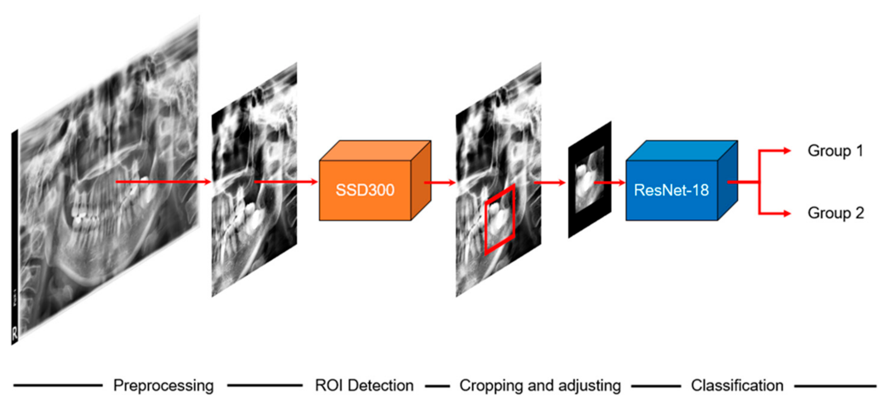 Diagnostics 11 01572 g001 550