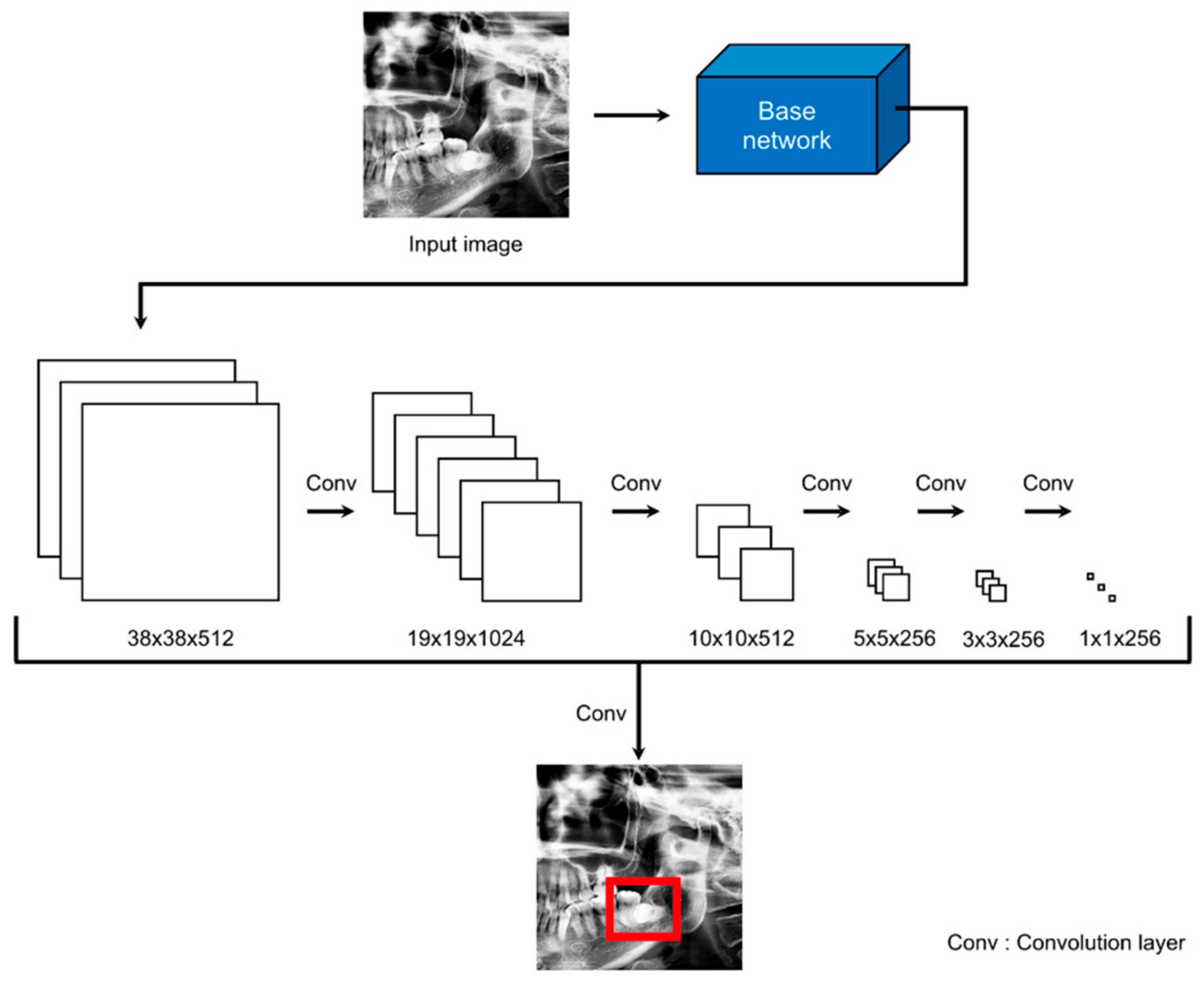 Diagnostics 11 01572 g002 550