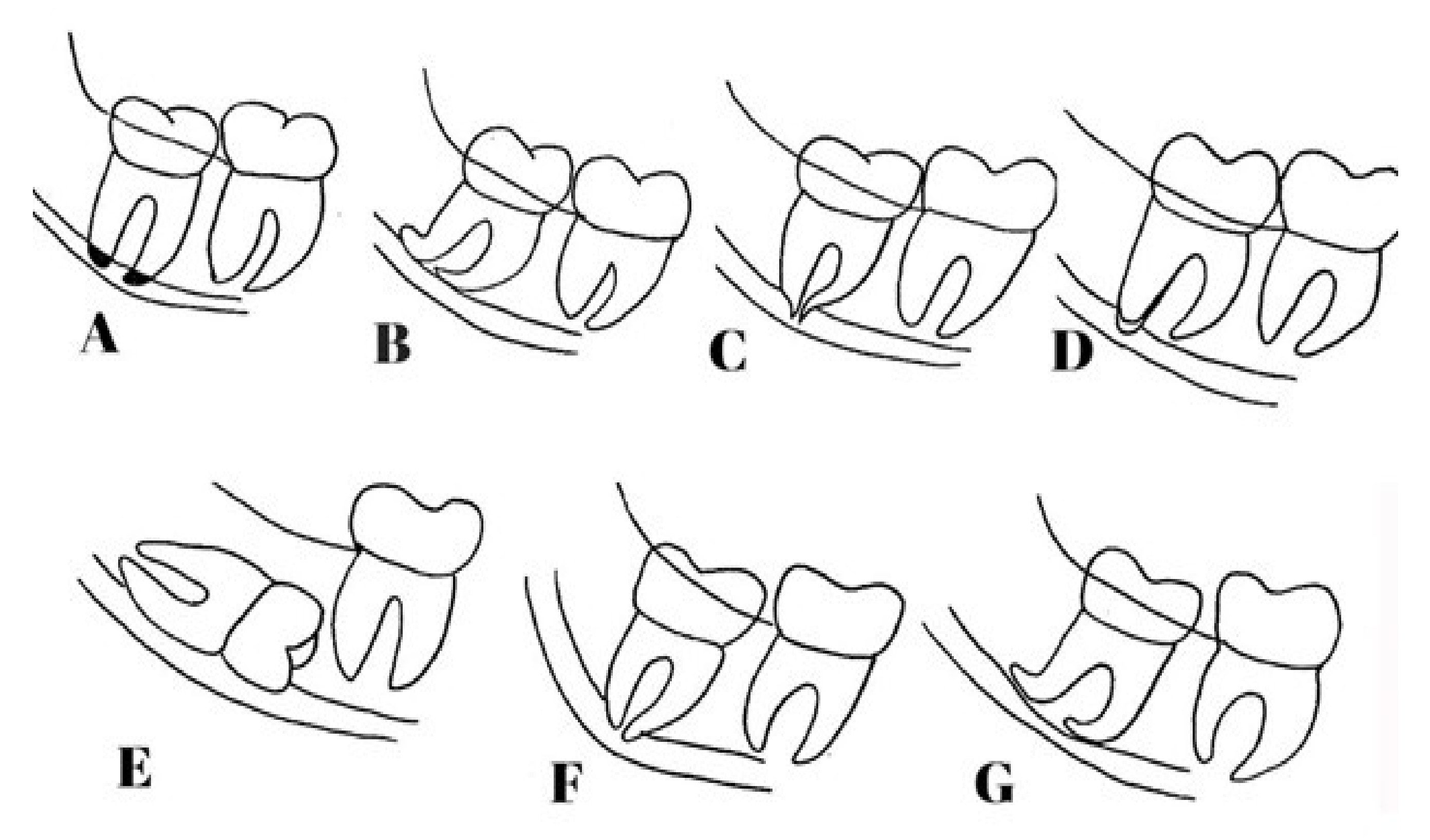 Diagnostics 11 01578 g001 550