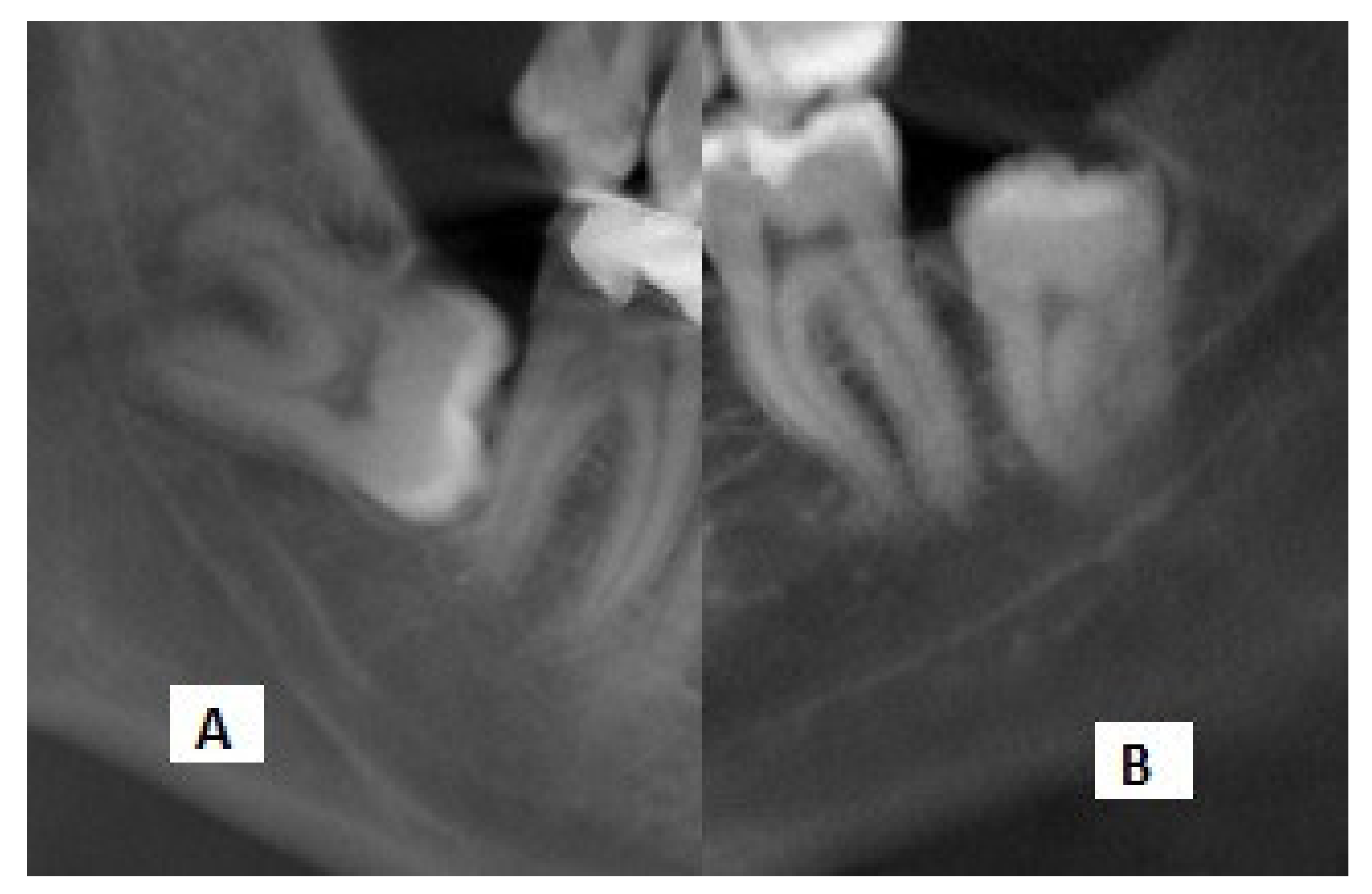 Diagnostics 11 01578 g002 550