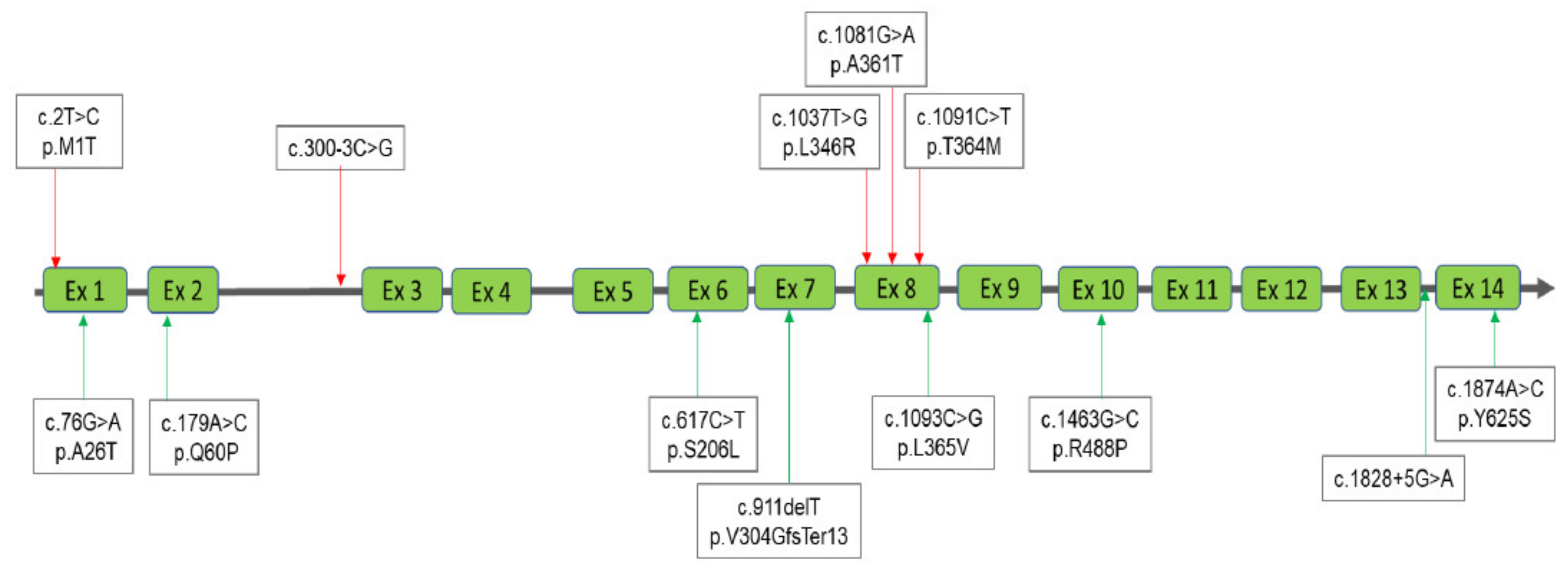 Diagnostics 11 01583 g002 Diagnostics 11 01583 g002