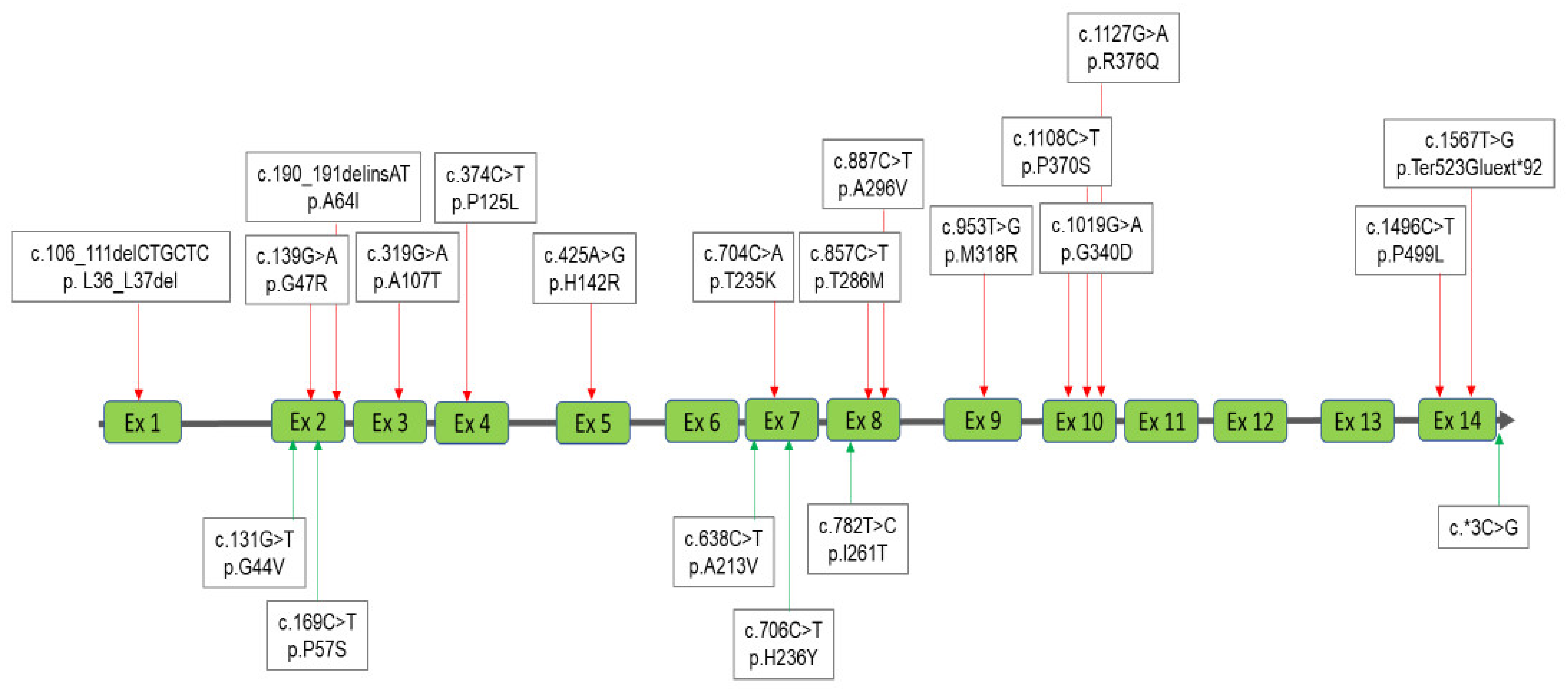 Diagnostics 11 01583 g004 Diagnostics 11 01583 g004