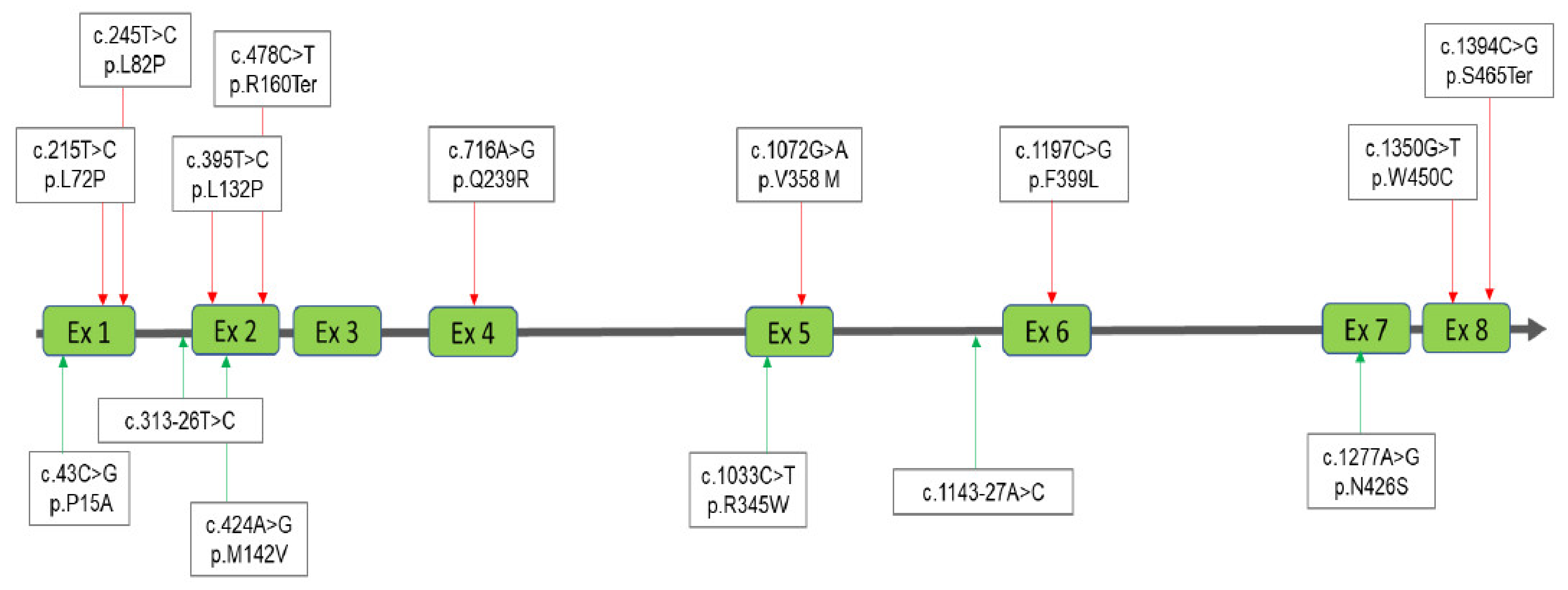 Diagnostics 11 01583 g005 Diagnostics 11 01583 g005