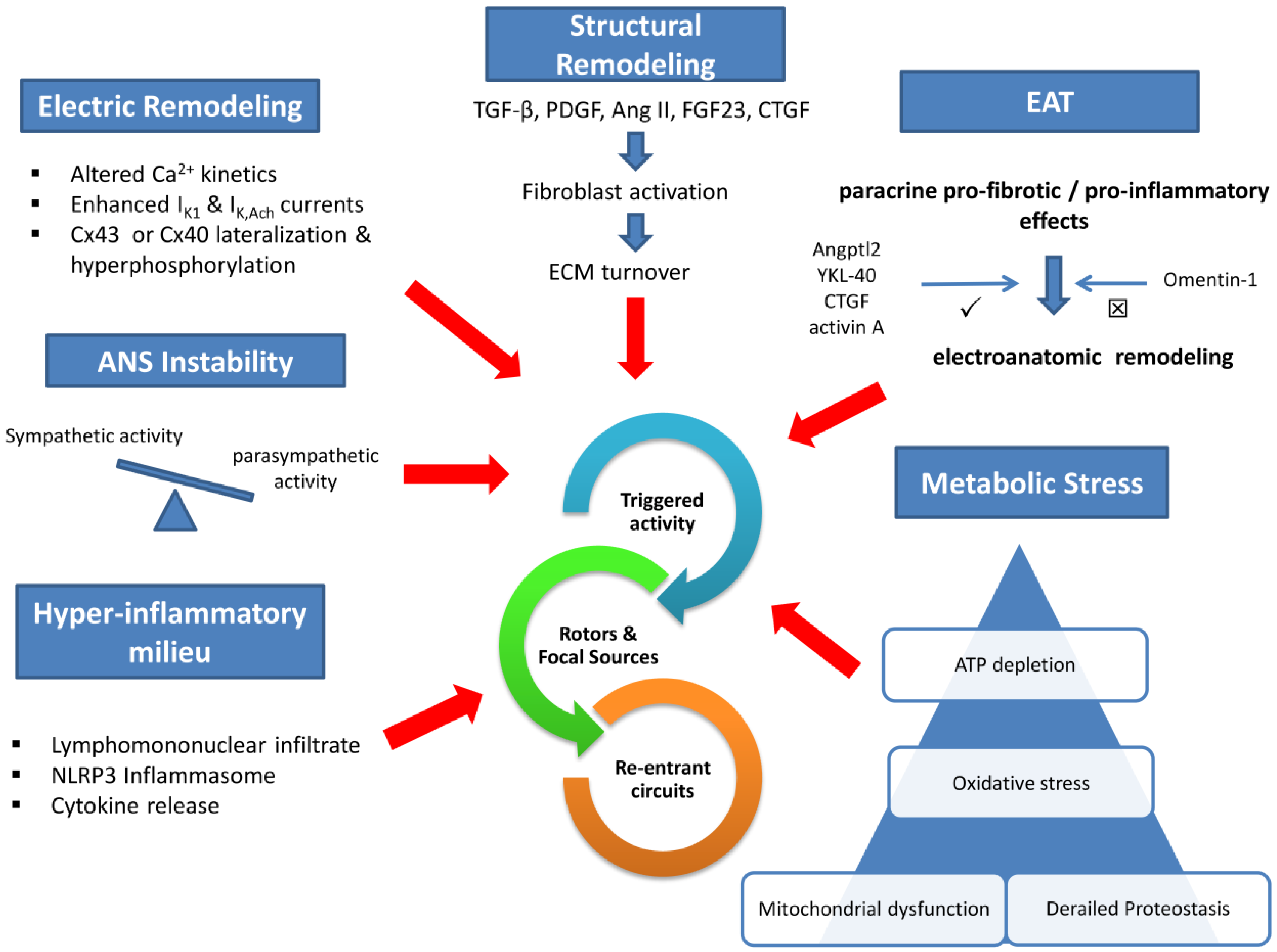 Diagnostics 11 01584 g0a1 Diagnostics 11 01584 g0a1
