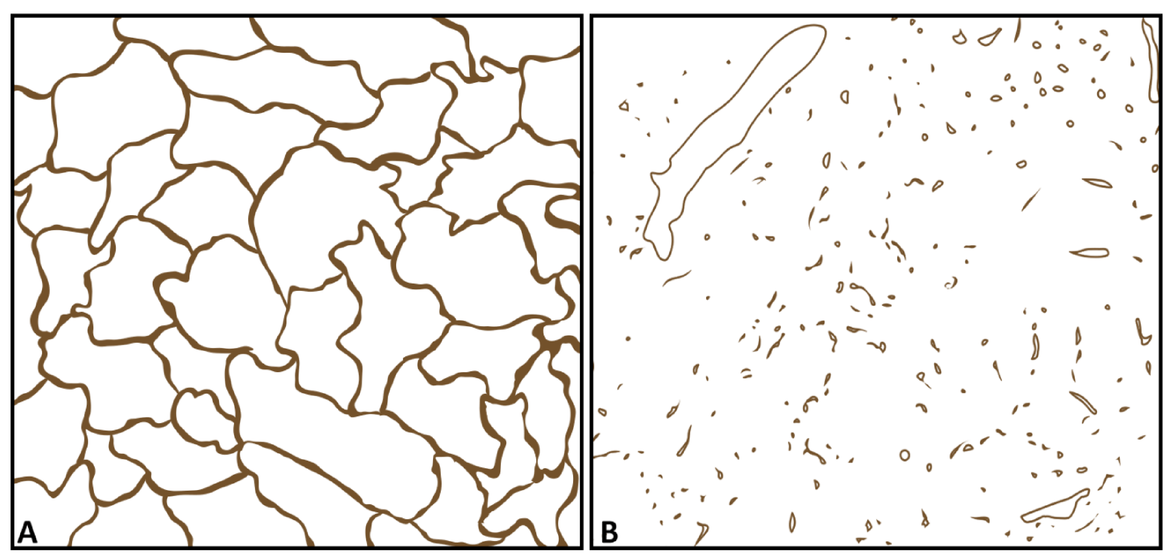Diagnostics 11 01601 g001