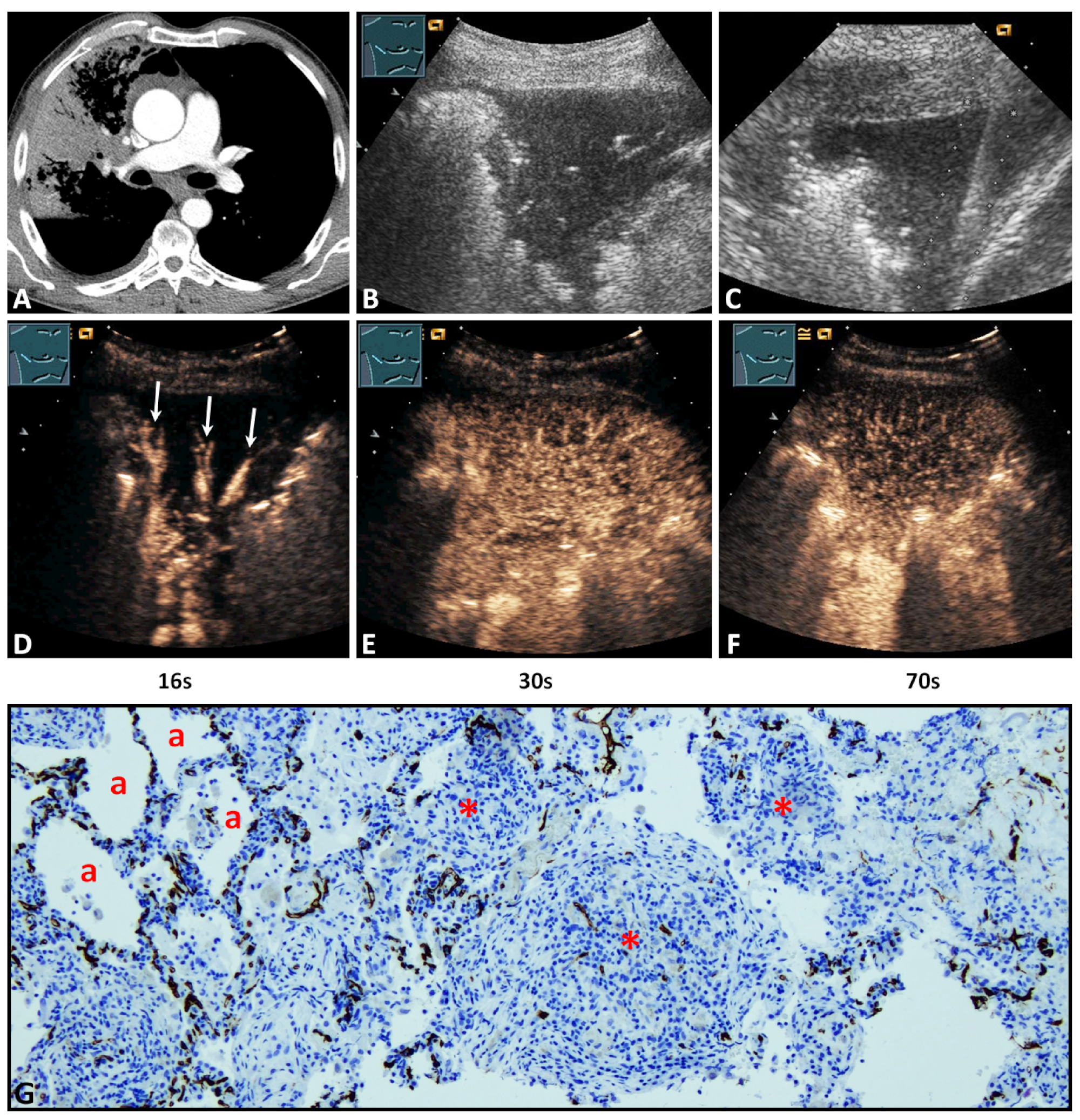 Diagnostics 11 01601 g003
