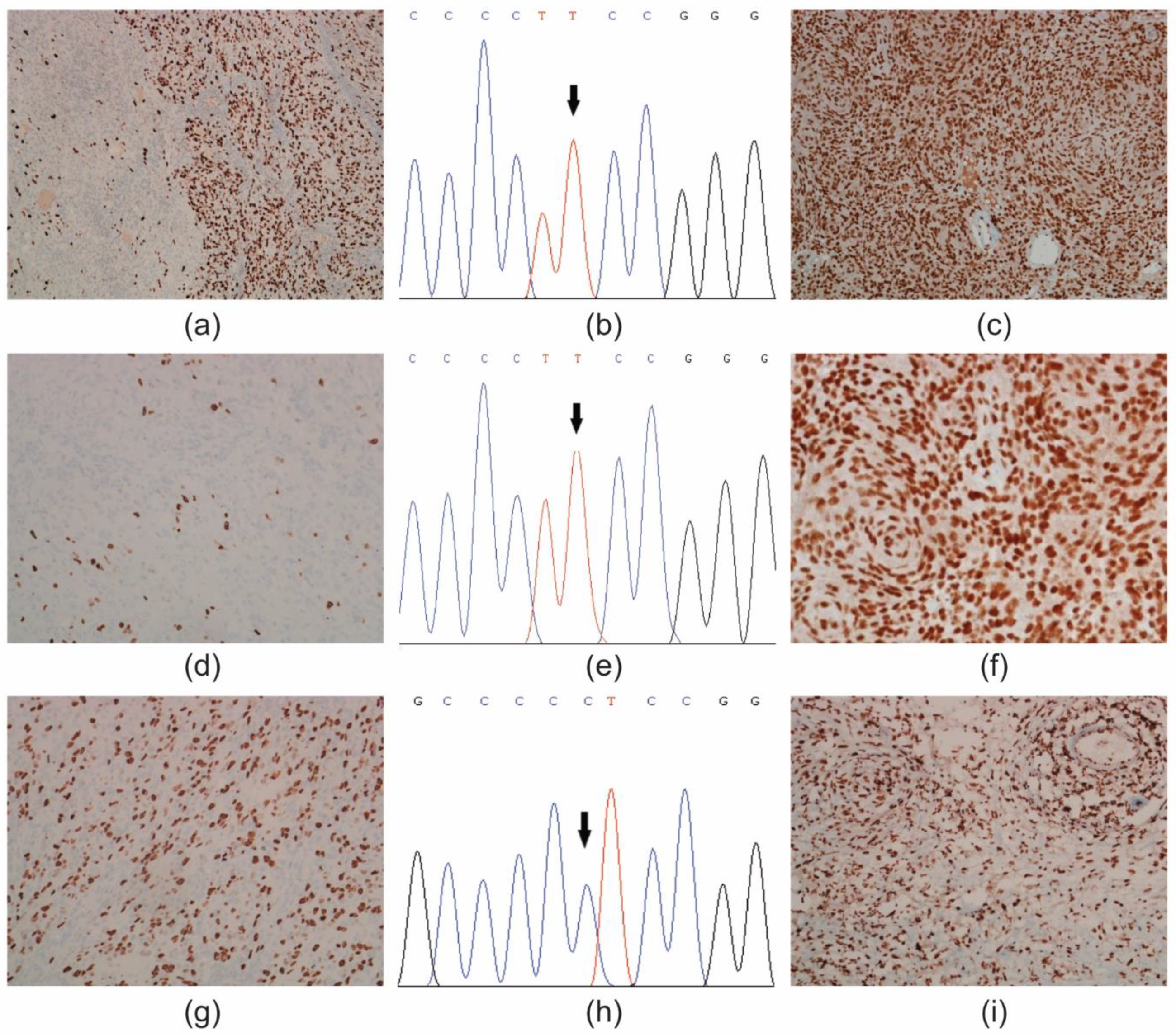 Diagnostics 11 01624 g001 550