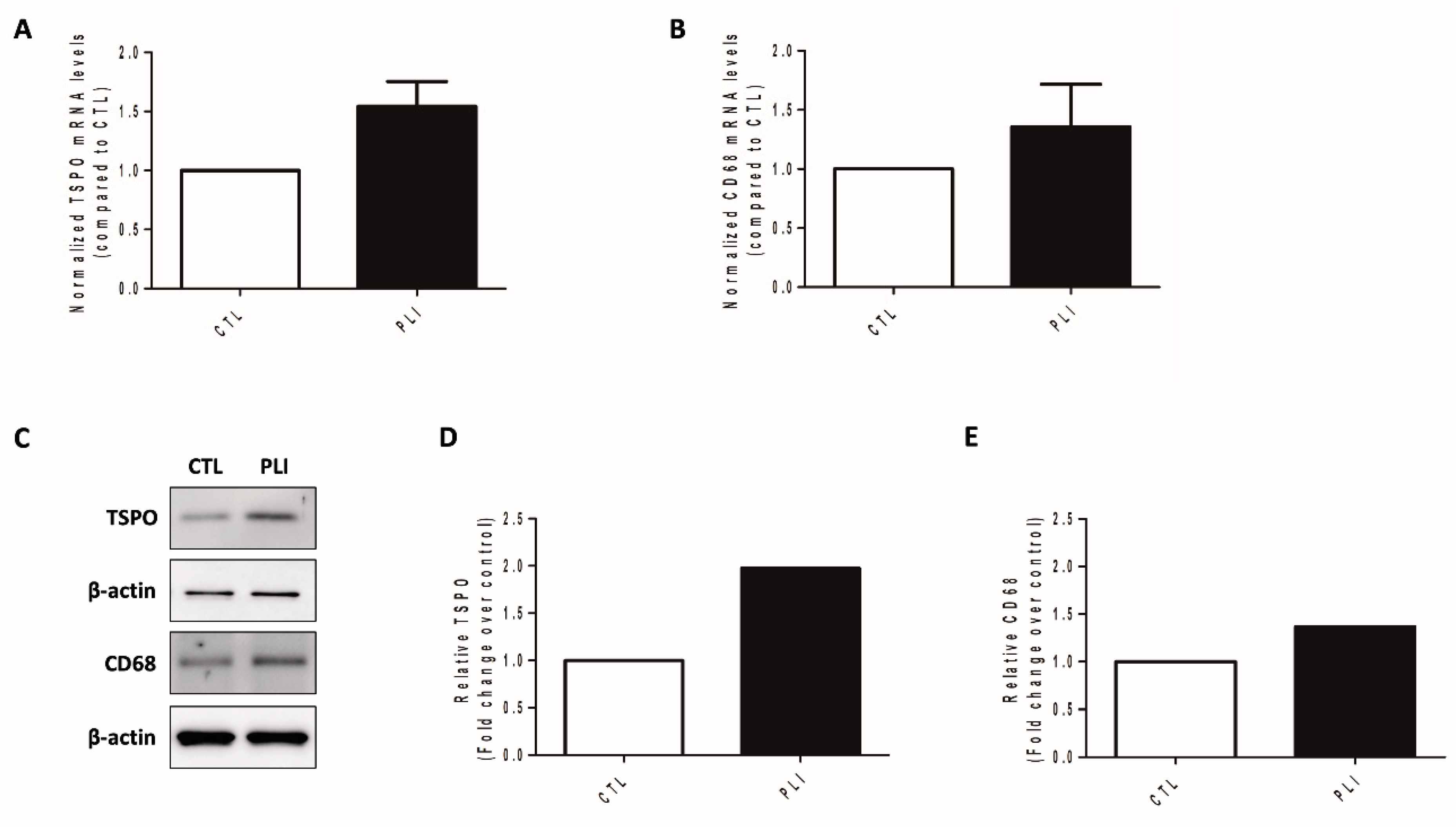 Diagnostics 11 01661 g002 550