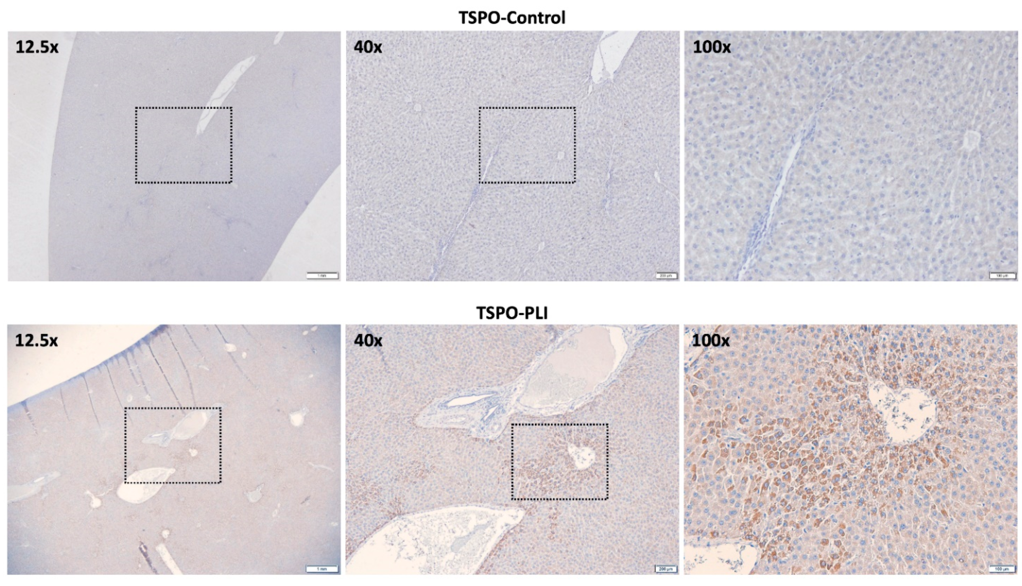 Diagnostics 11 01661 g003 550