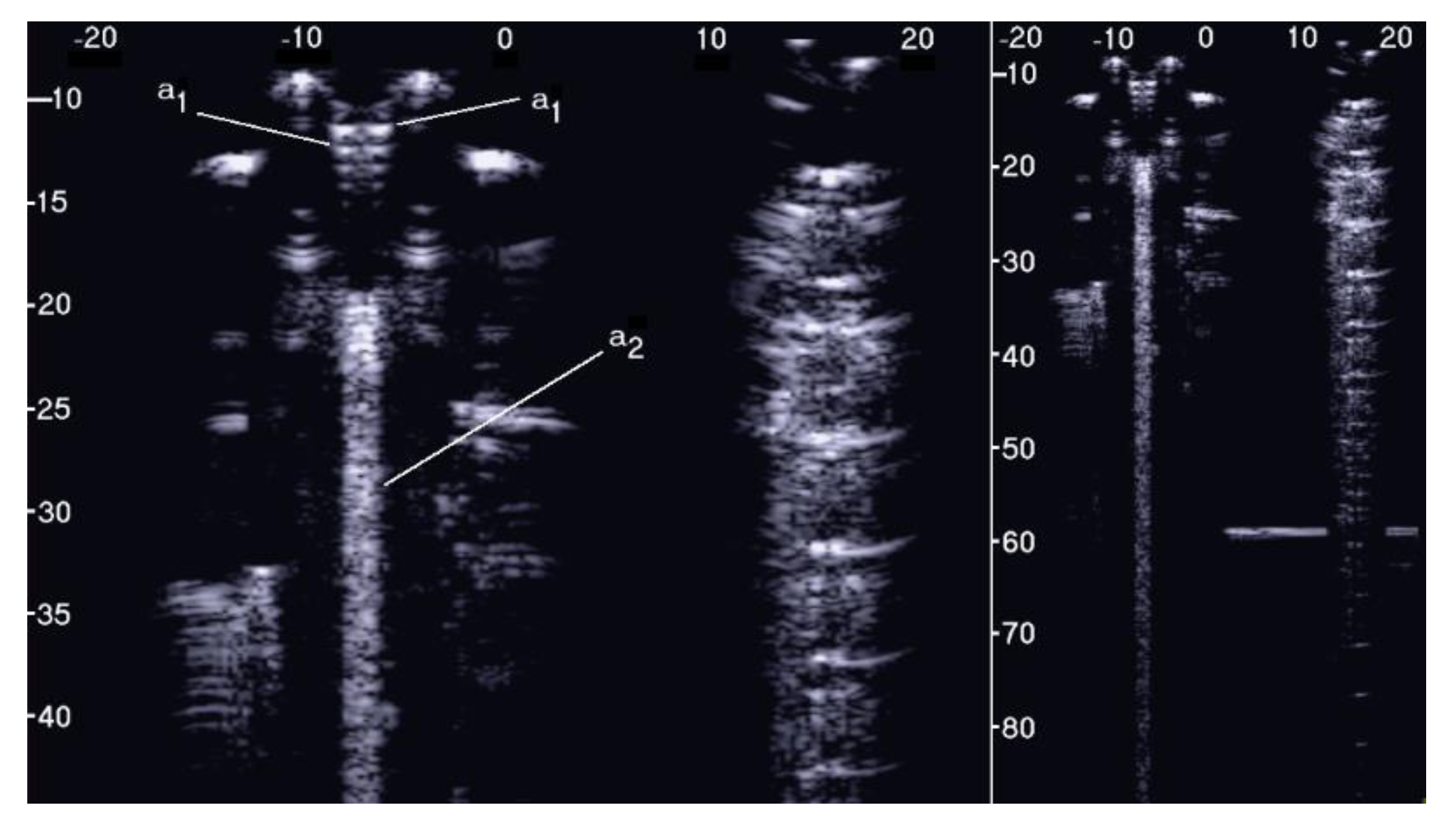 Diagnostics 11 01666 g005