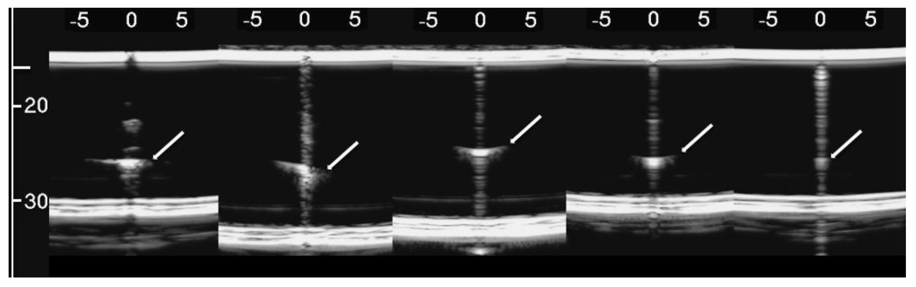 Diagnostics 11 01666 g010
