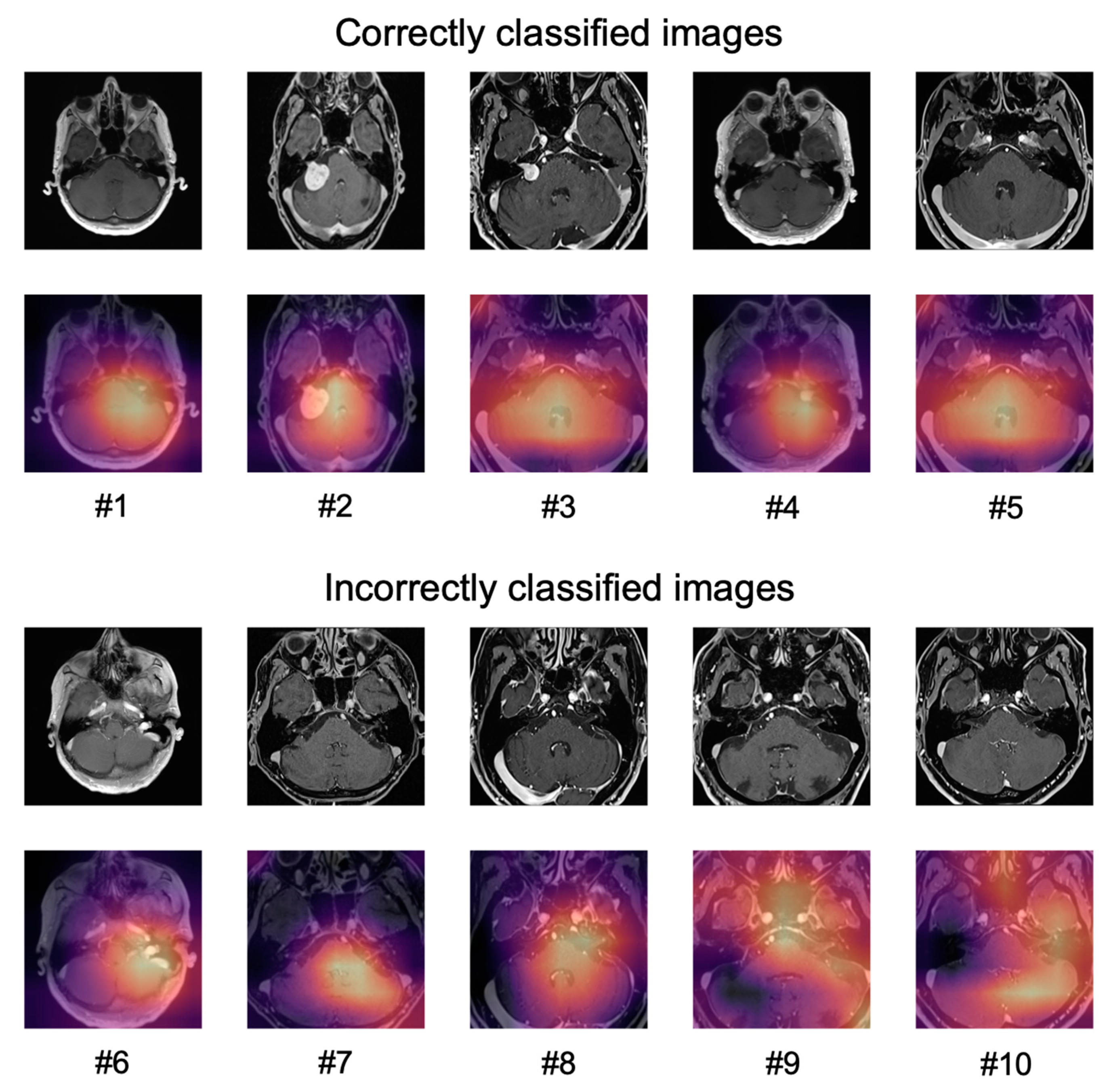 Diagnostics 11 01676 g005 550