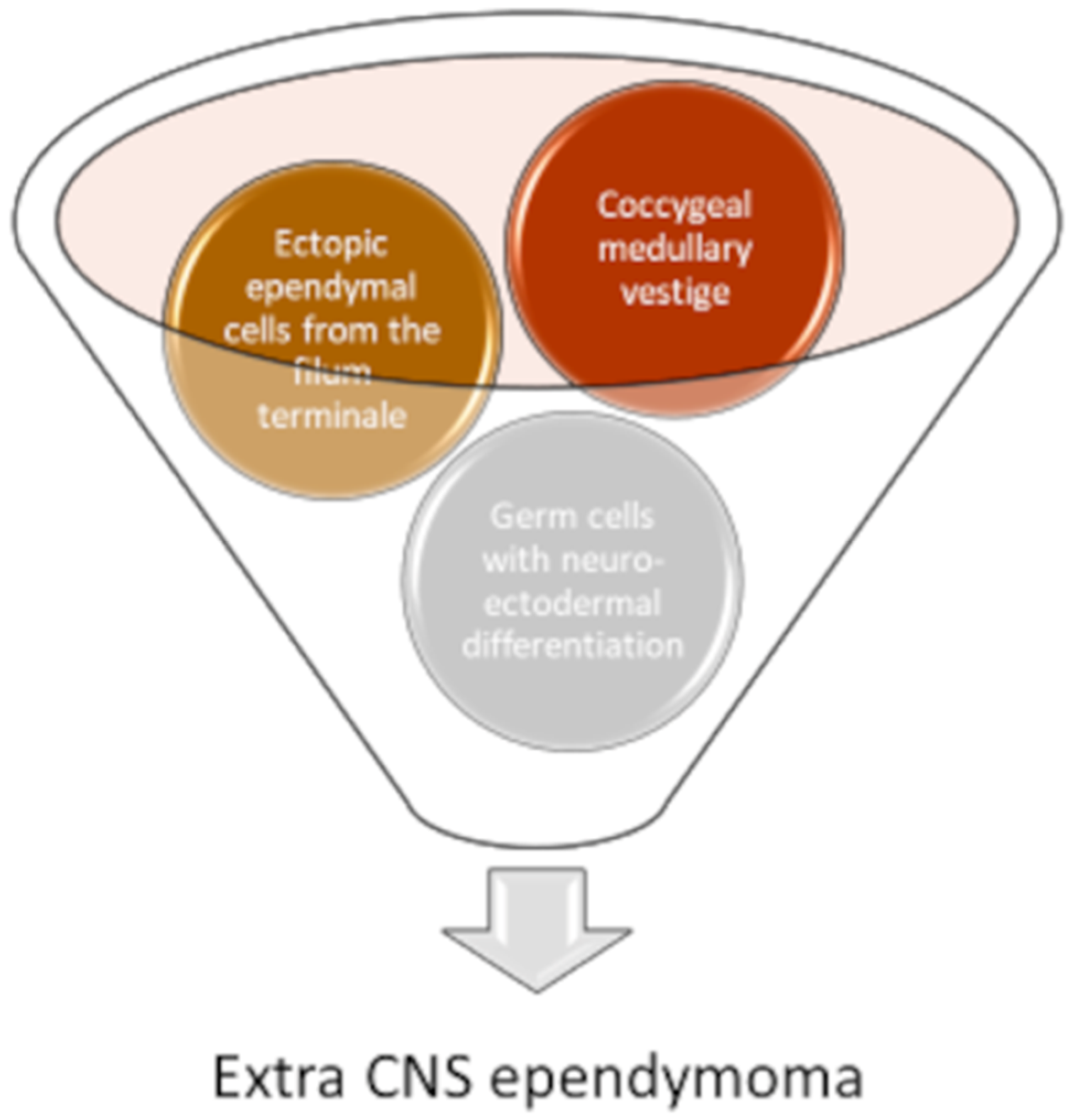 Diagnostics 11 01680 g002 Diagnostics 11 01680 g002