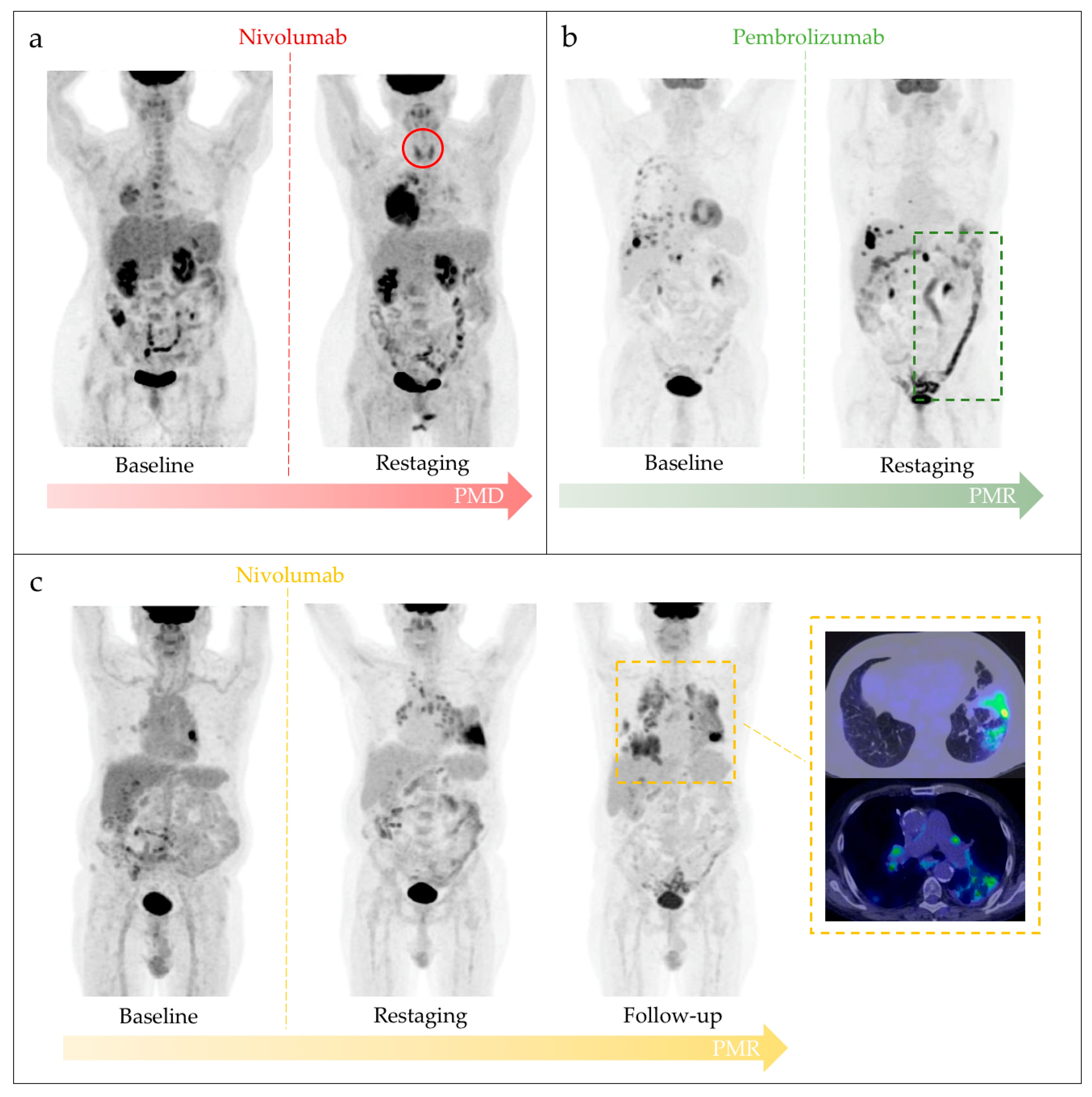 Diagnostics 11 01681 g003