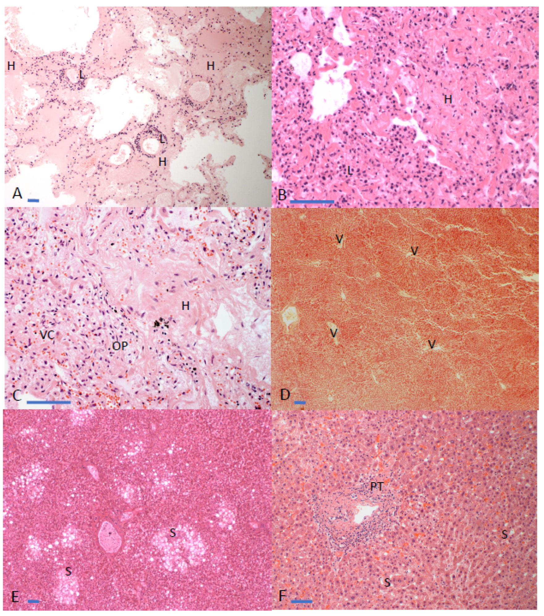 Diagnostics 11 01703 g002 Diagnostics 11 01703 g002