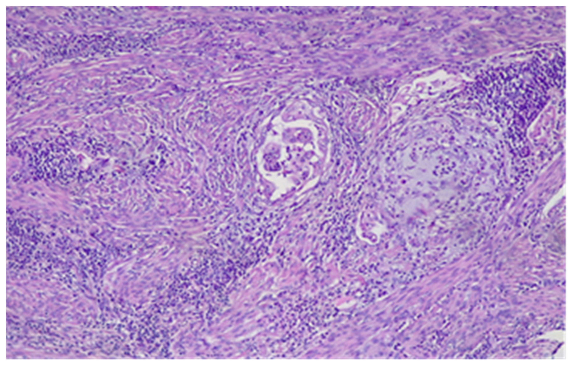 Diagnostics 11 01707 g003