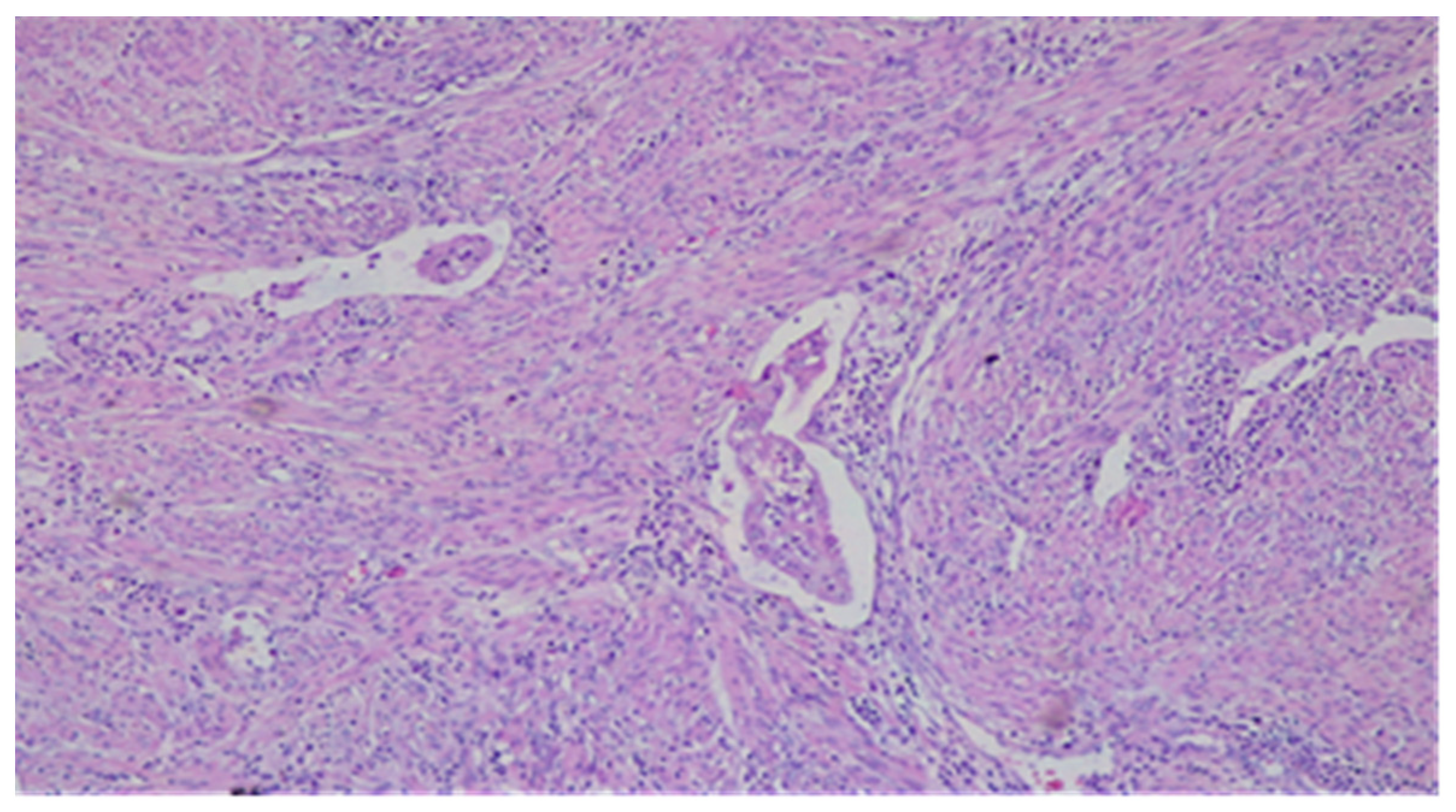 Diagnostics 11 01707 g004