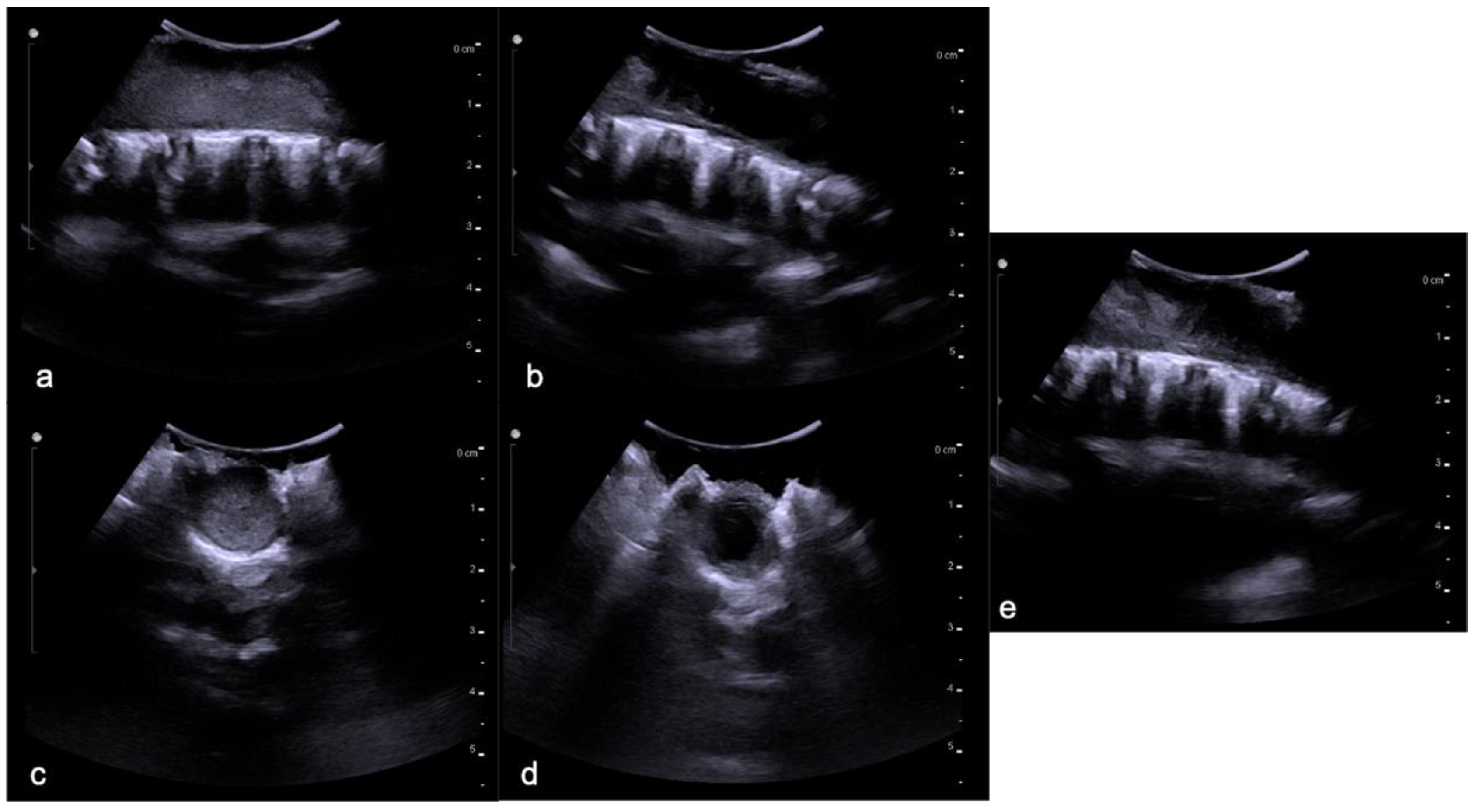 Diagnostics 11 01710 g005 Diagnostics 11 01710 g005