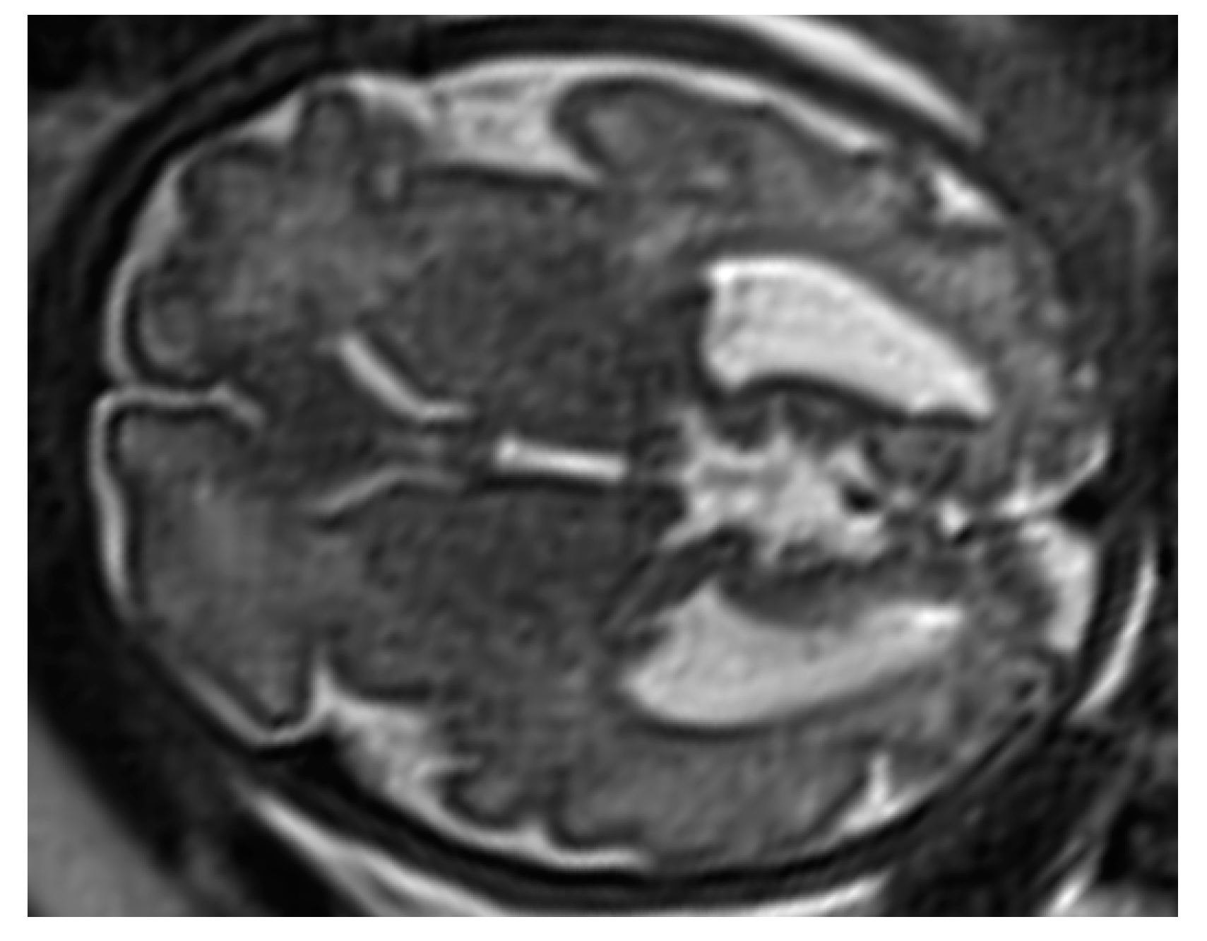 Diagnostics 11 01723 g003
