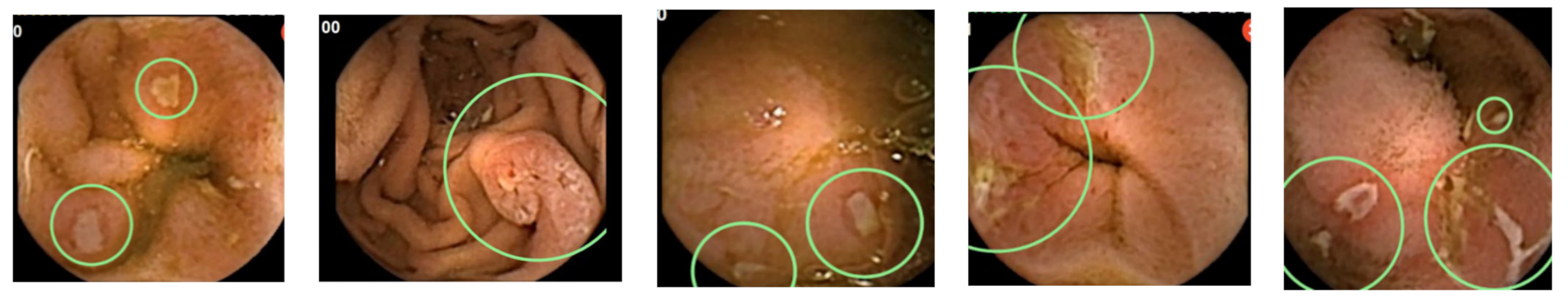 Diagnostics 11 01737 g002