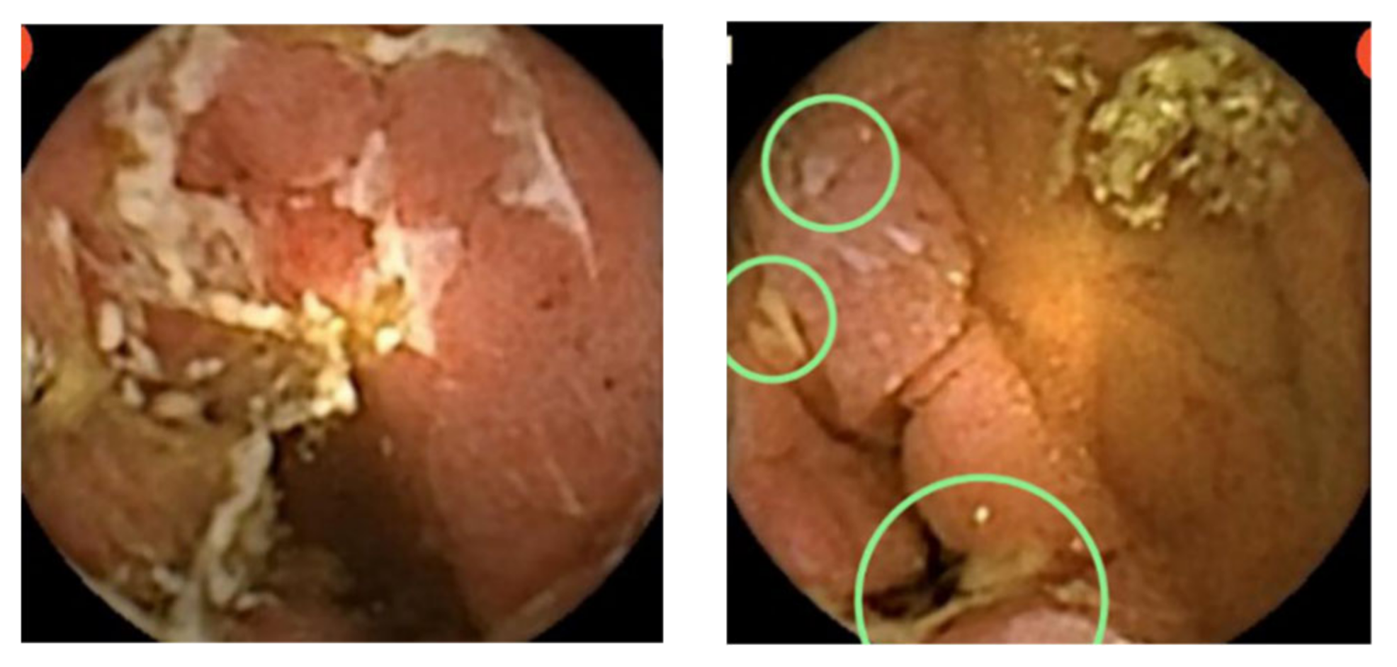 Diagnostics 11 01737 g003