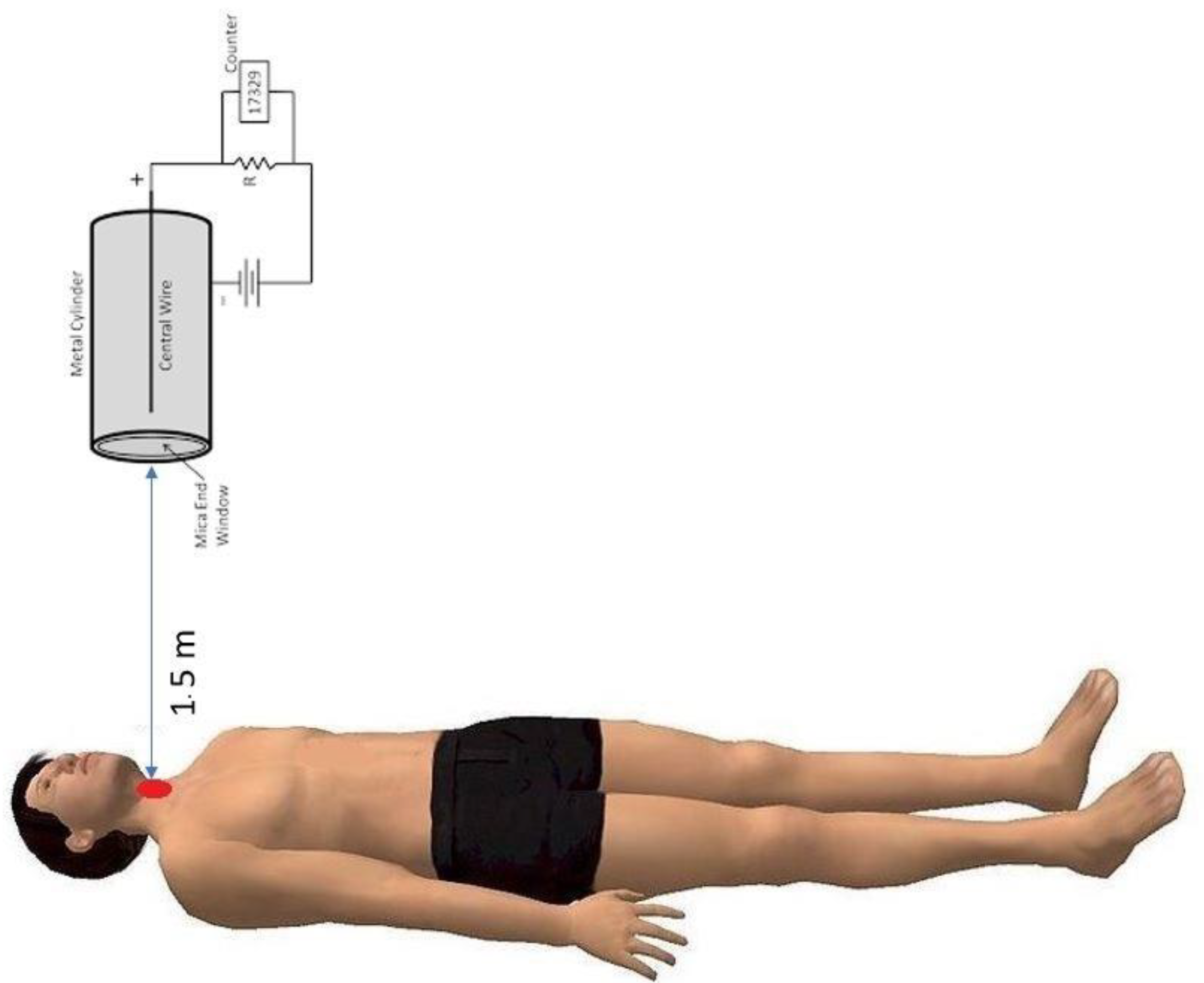 Diagnostics 11 01740 g001
