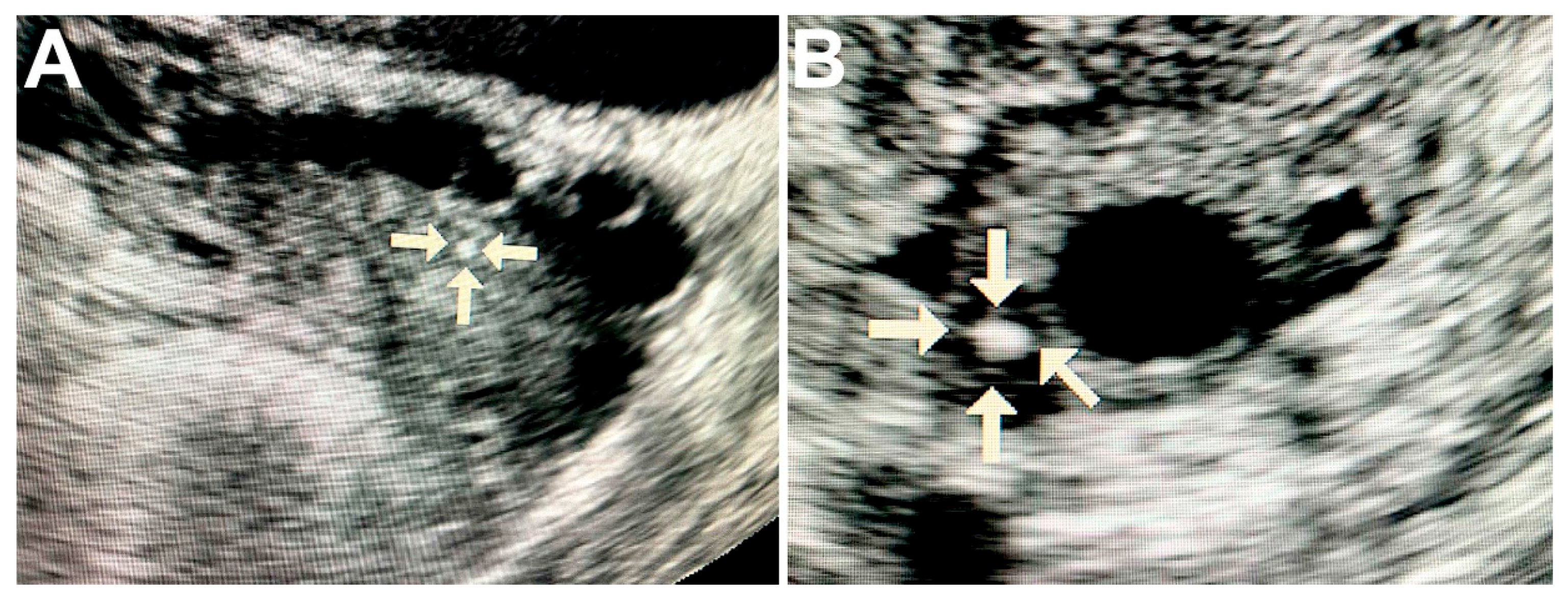 Diagnostics 11 01741 g001